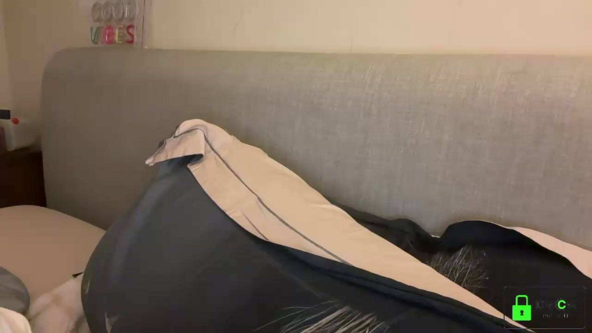 Gallery image thumbnail from Bellanoirxx's myfreecams stream on, 09/19/2026, 04:12 image 6 of 20