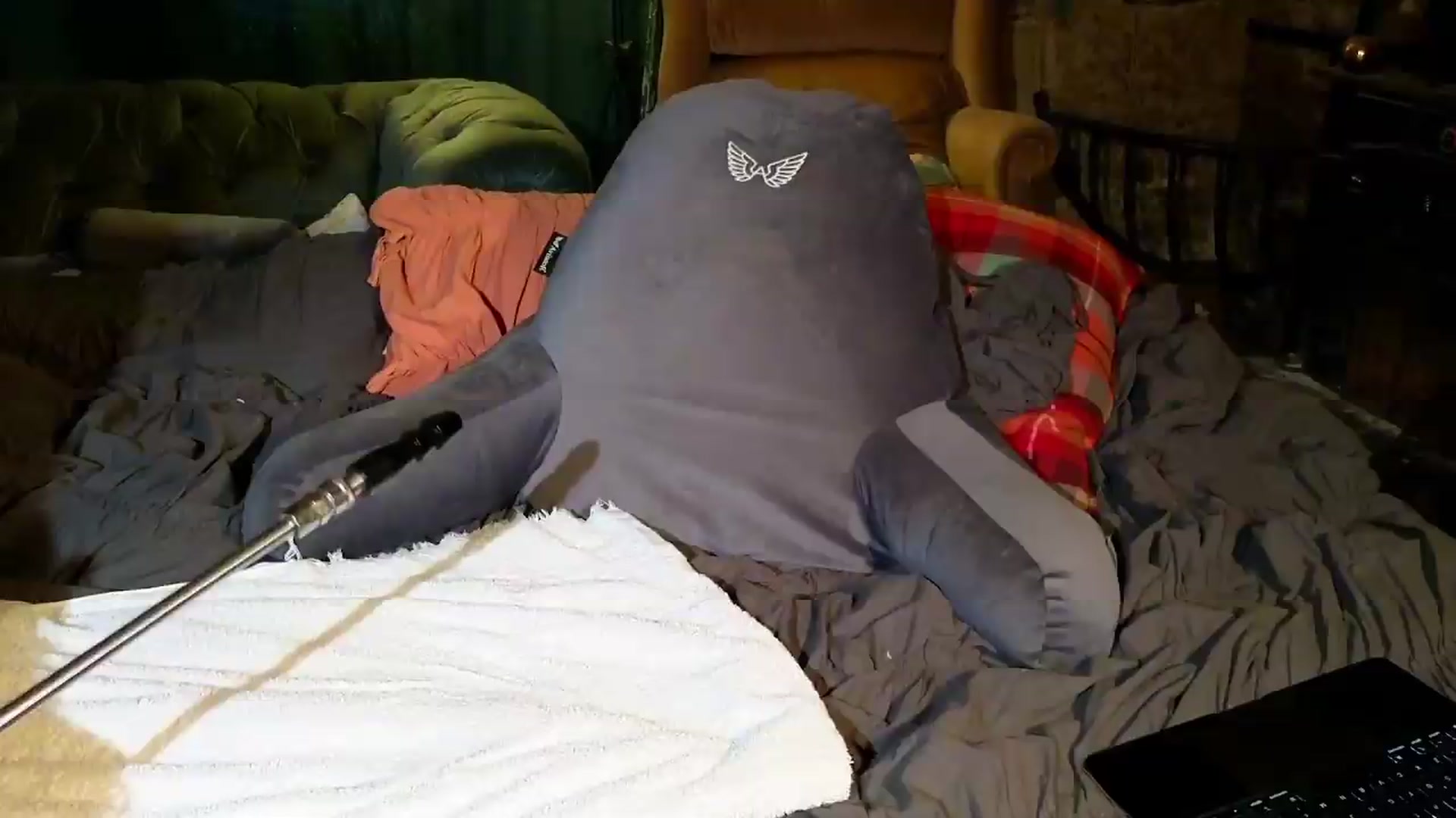 Gallery image thumbnail from Bellazeebub's myfreecams stream on, 09/02/2026, 10:19 image 14 of 20