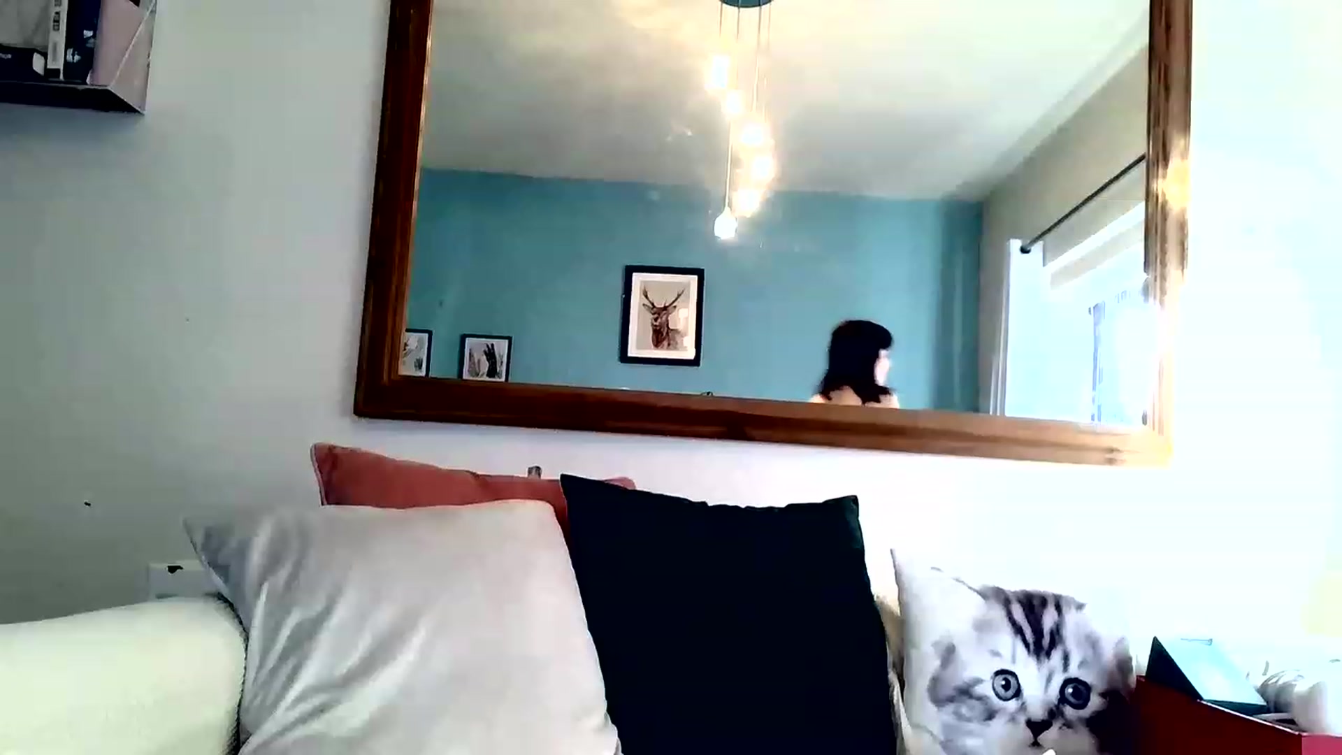 Gallery image thumbnail from BelleBlake's myfreecams stream on, 12/29/2022, 11:46 image 6 of 20