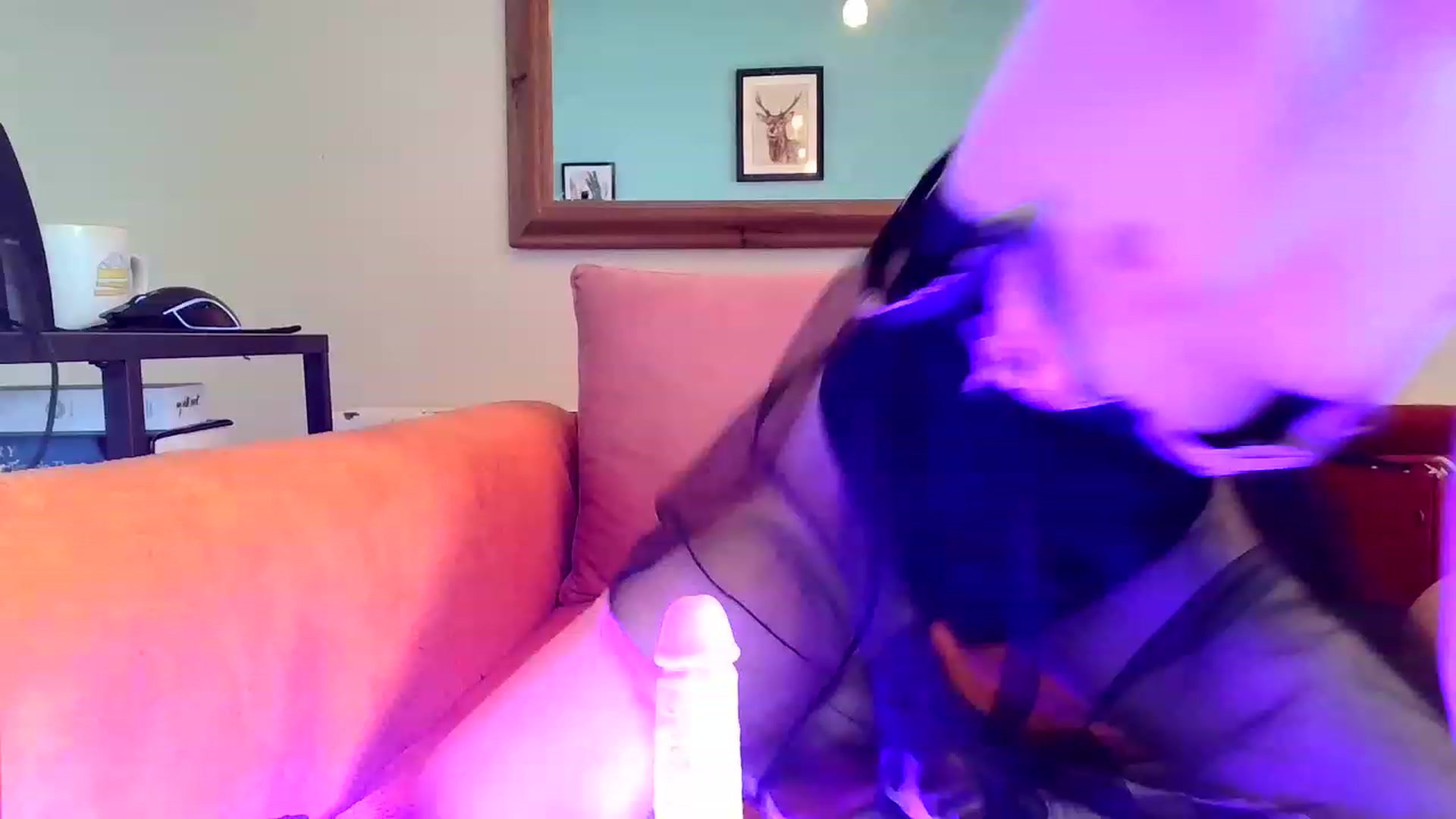 Gallery image thumbnail from BelleBlake's myfreecams stream on, 03/12/2023, 13:40 image 20 of 20