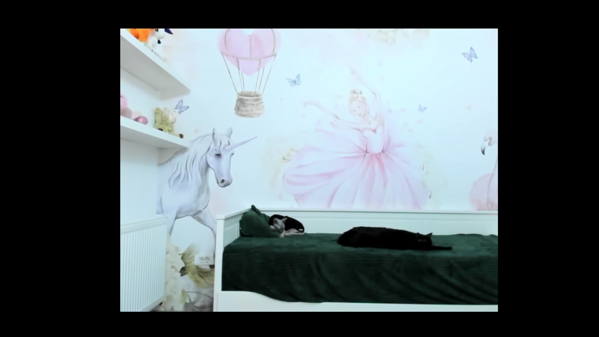 Gallery image thumbnail from BelovedKhlloe's myfreecams stream on, 02/01/2023, 12:42 image 12 of 20