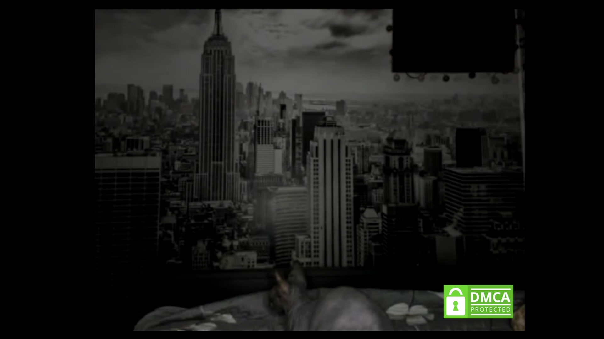 Gallery image thumbnail from BelovedKhlloe's myfreecams stream on, 04/30/2023, 20:55 image 14 of 20