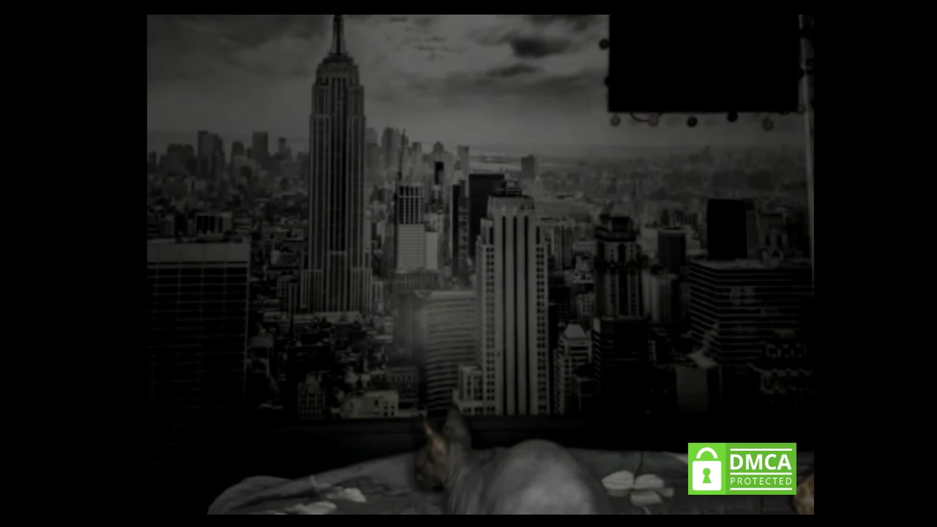Gallery image thumbnail from BelovedKhlloe's myfreecams stream on, 04/30/2023, 20:55 image 13 of 20