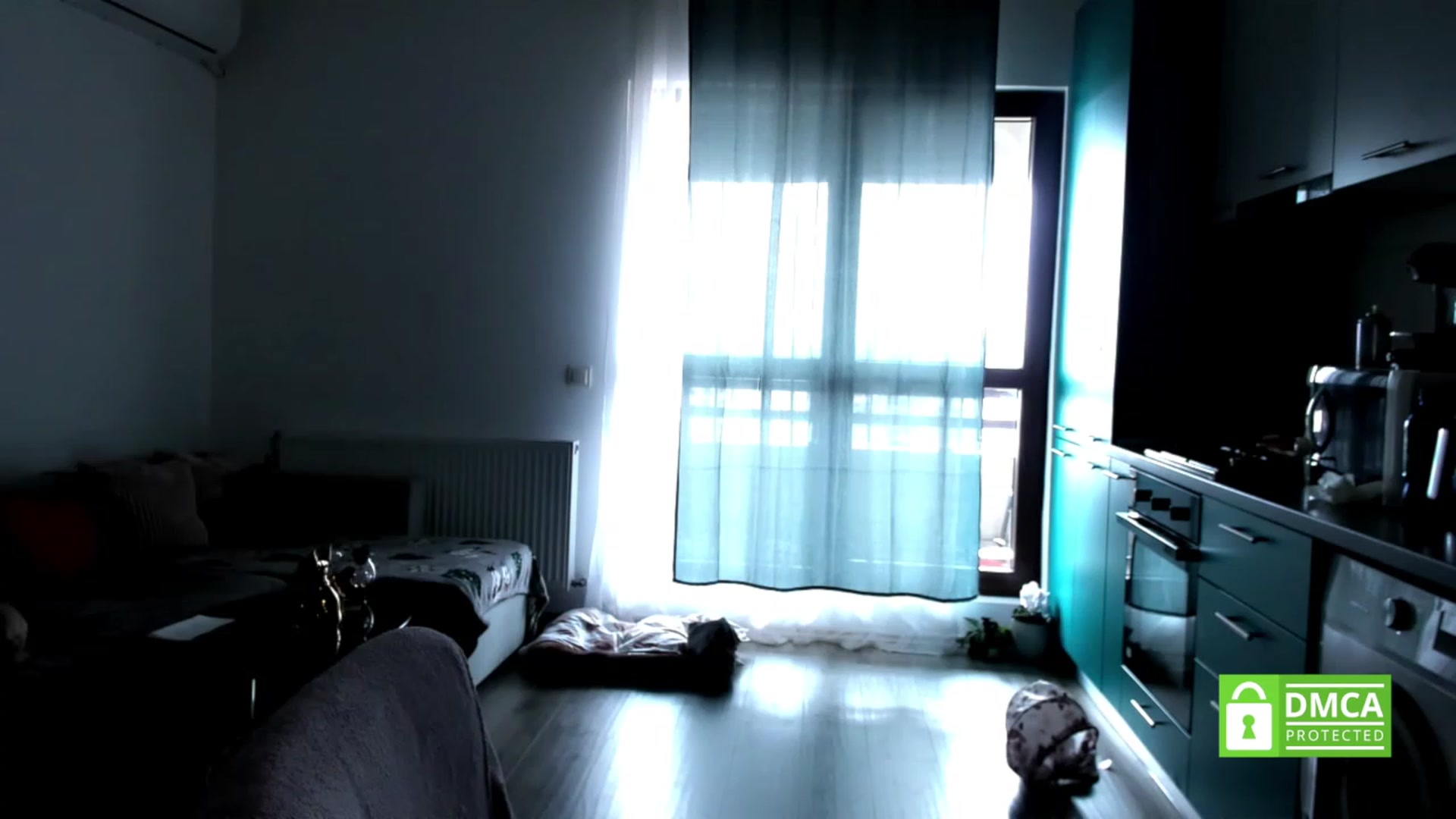 Gallery image thumbnail from BelovedKhlloe's myfreecams stream on, 03/12/2024, 15:38 image 2 of 20