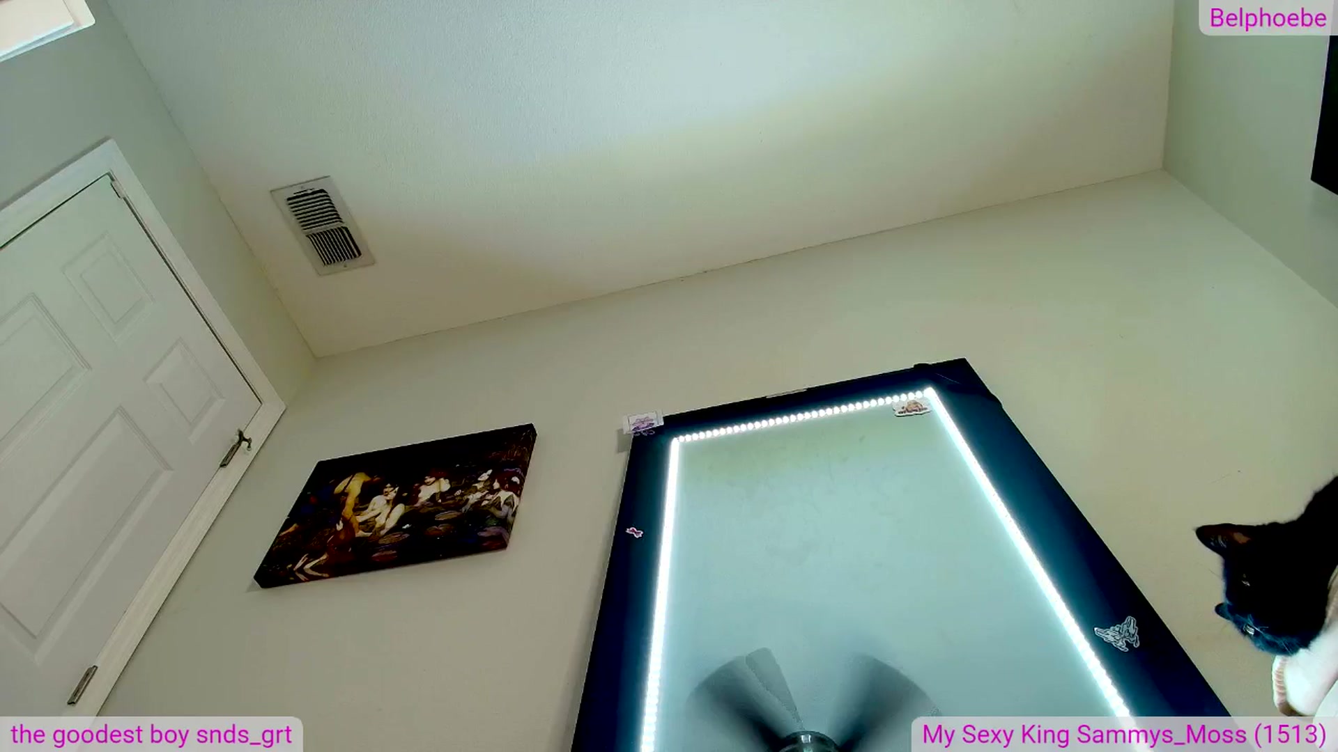 Gallery image thumbnail from Belphoebe's myfreecams stream on, 02/12/2026, 07:01 image 13 of 20