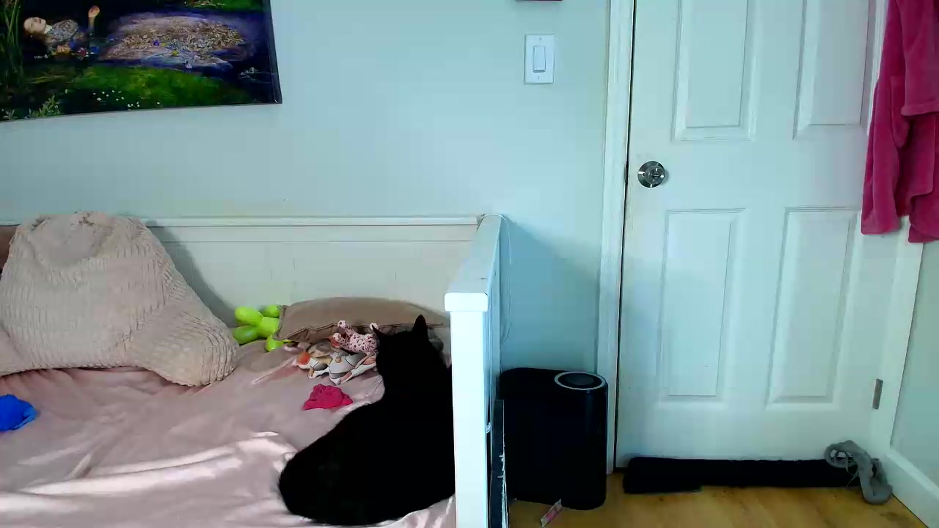 Gallery image thumbnail from Belphoebe's myfreecams stream on, 07/01/2026, 03:50 image 14 of 20