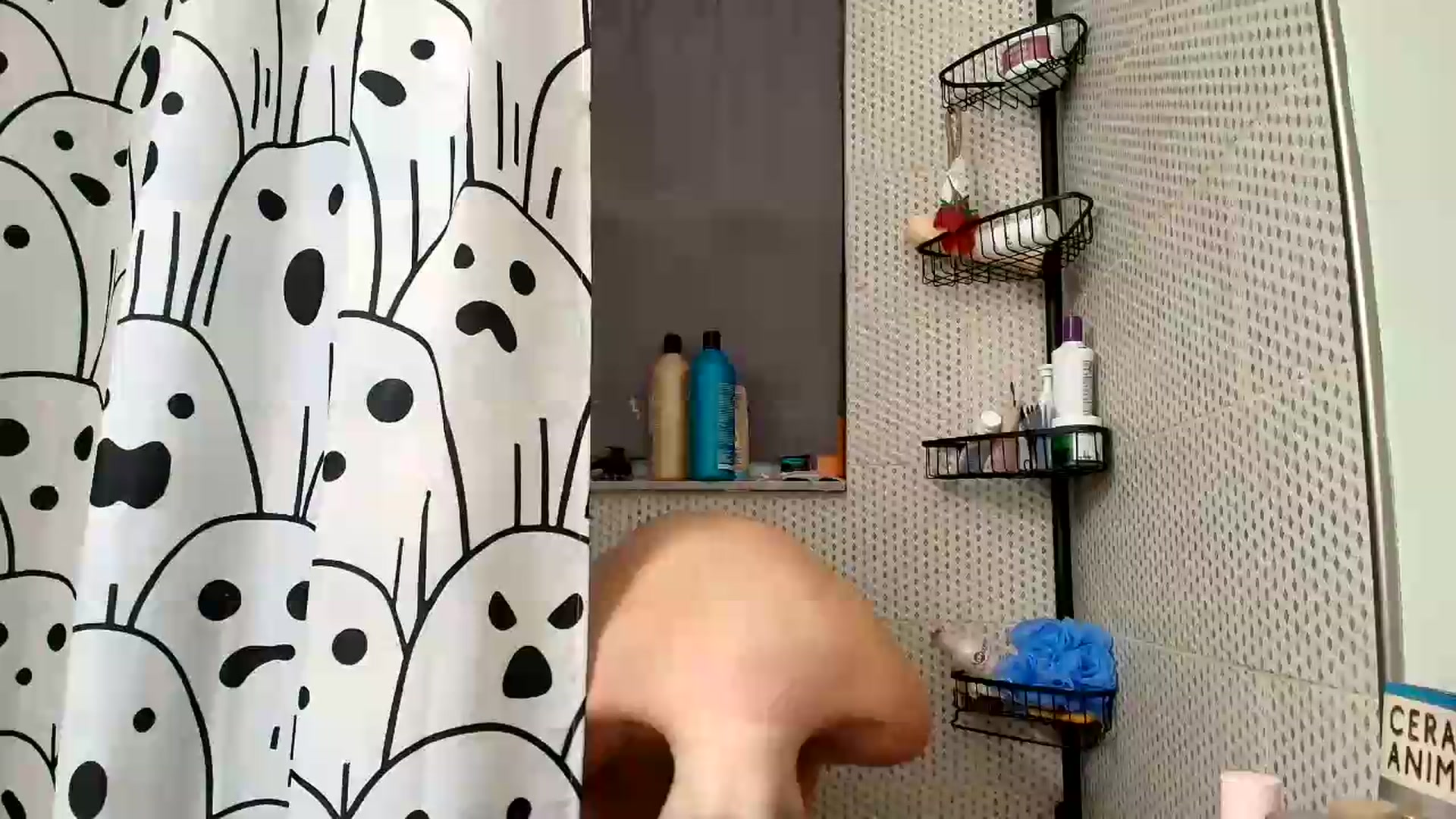 Gallery image thumbnail from Belphoebe's myfreecams stream on, 07/08/2026, 04:02 image 18 of 20