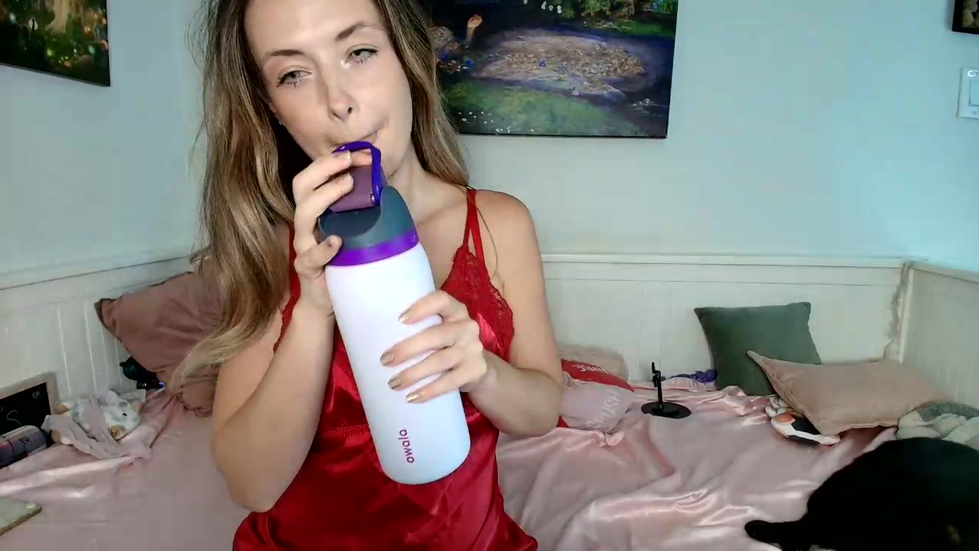 Gallery image thumbnail from Belphoebe's myfreecams stream on, 07/09/2026, 01:27 image 19 of 20