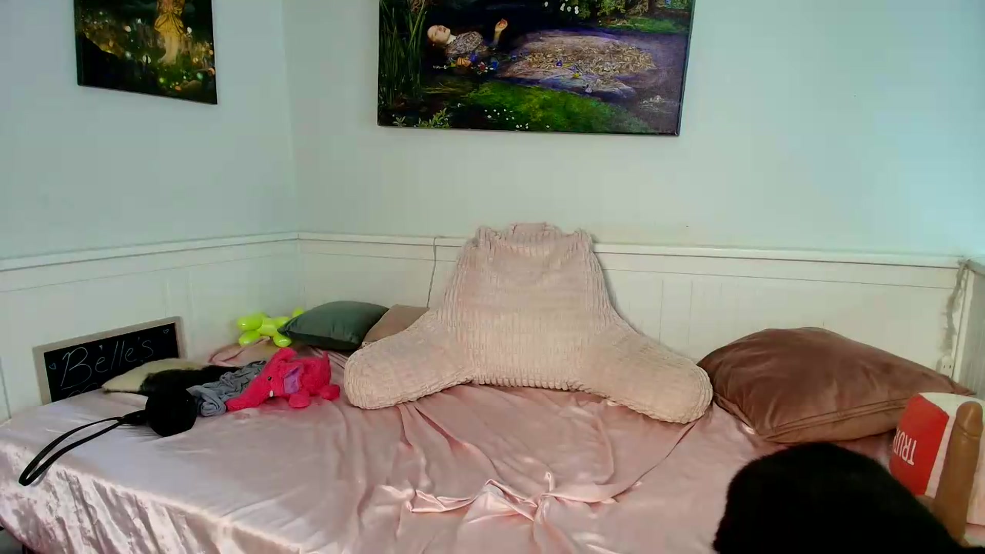 Gallery image thumbnail from Belphoebe's myfreecams stream on, 09/01/2026, 04:17 image 5 of 20