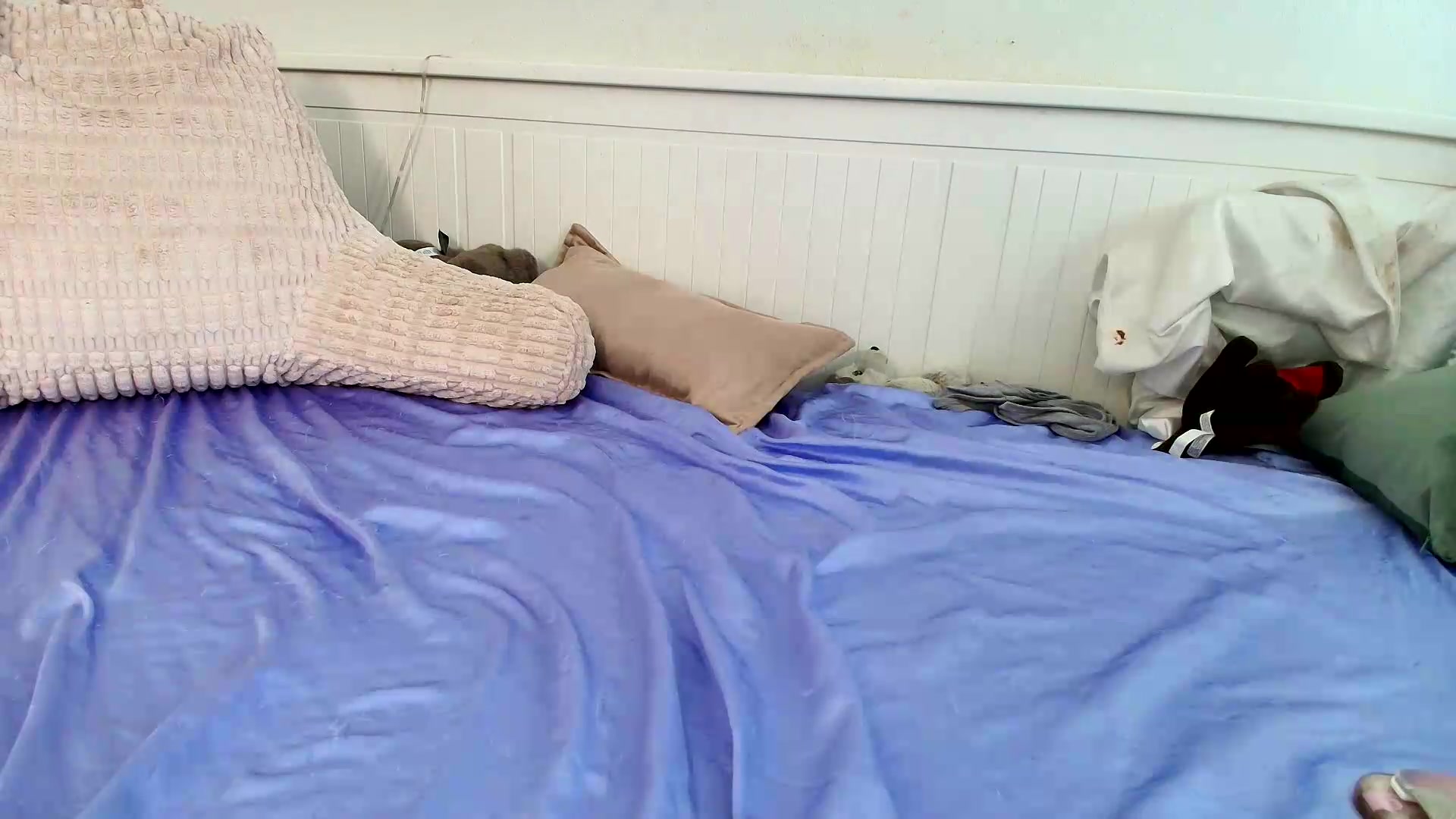 Gallery image thumbnail from Belphoebe's myfreecams stream on, 09/04/2026, 03:50 image 20 of 20