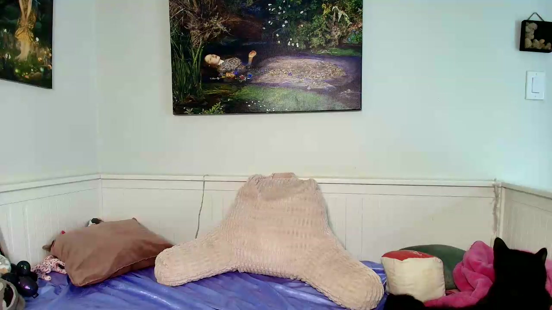 Gallery image thumbnail from Belphoebe's myfreecams stream on, 09/10/2026, 03:48 image 13 of 20