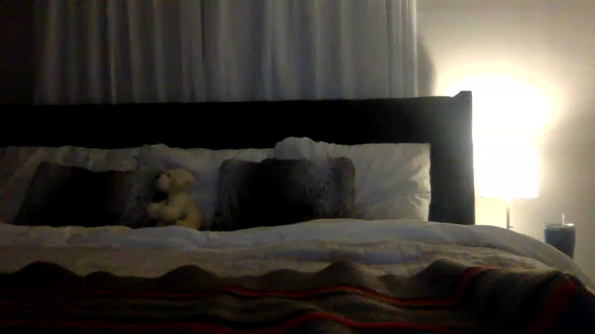 Gallery image thumbnail from BendyBlonde1's myfreecams stream on, 01/10/2023, 05:00 image 2 of 20