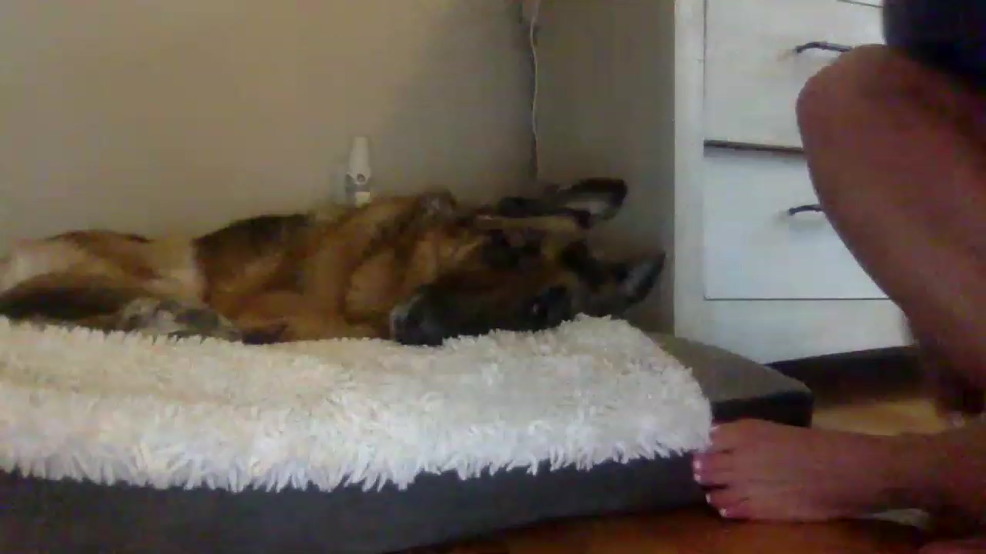 Gallery image thumbnail from BendyBlonde1's myfreecams stream on, 01/18/2023, 20:40 image 13 of 20