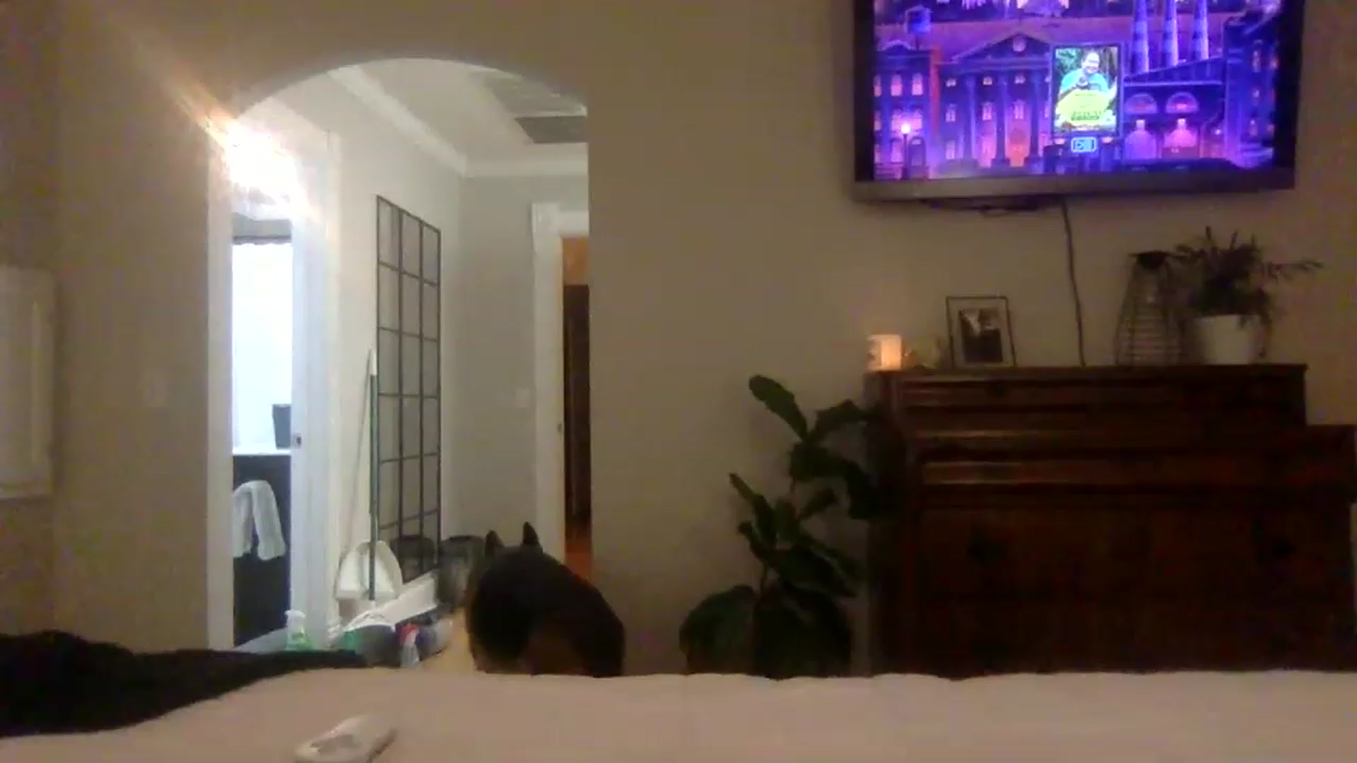 Gallery image thumbnail from BendyBlonde1's myfreecams stream on, 01/19/2023, 23:50 image 19 of 20