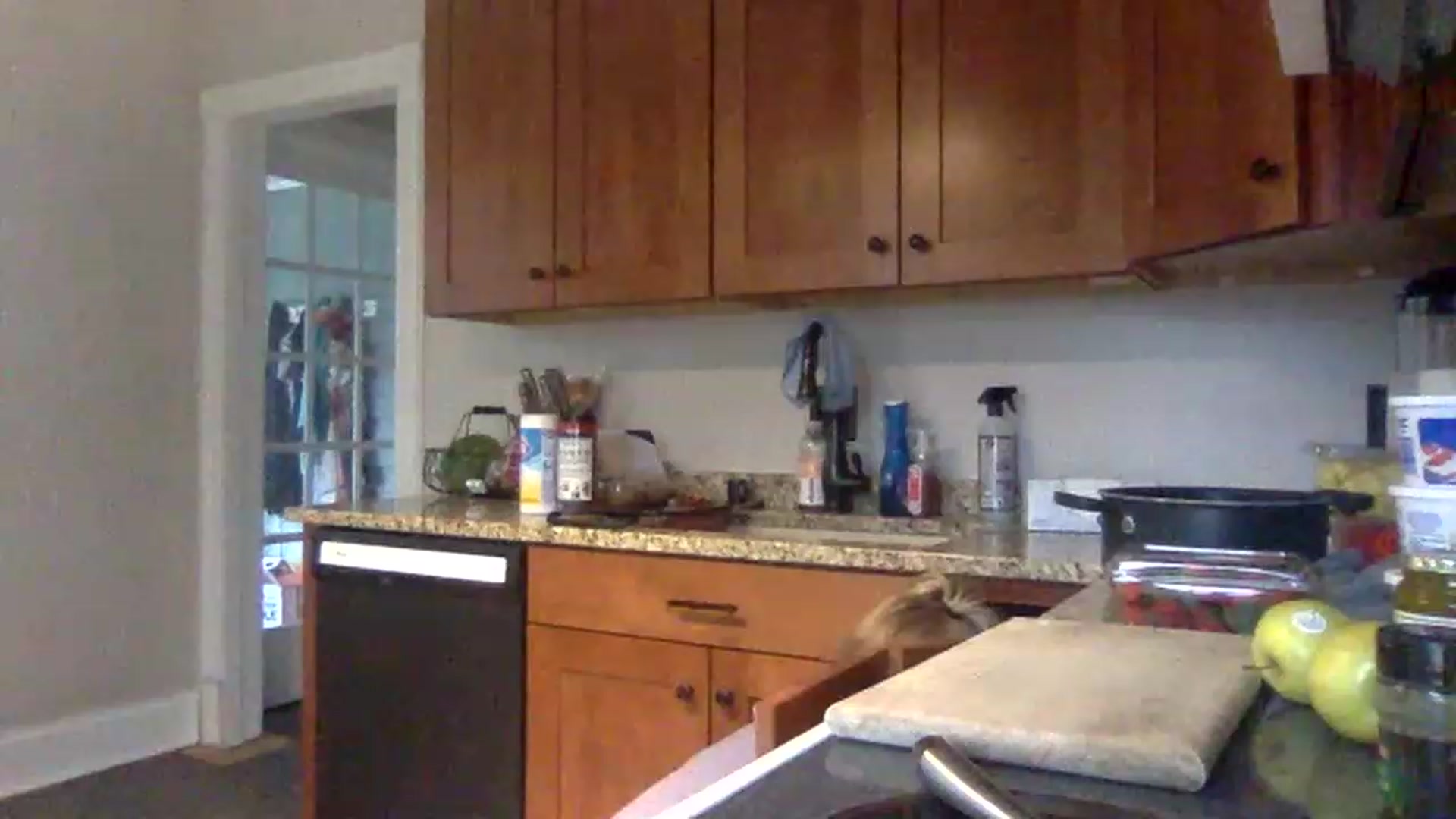 Gallery image thumbnail from BendyBlonde1's myfreecams stream on, 03/03/2023, 01:18 image 1 of 20