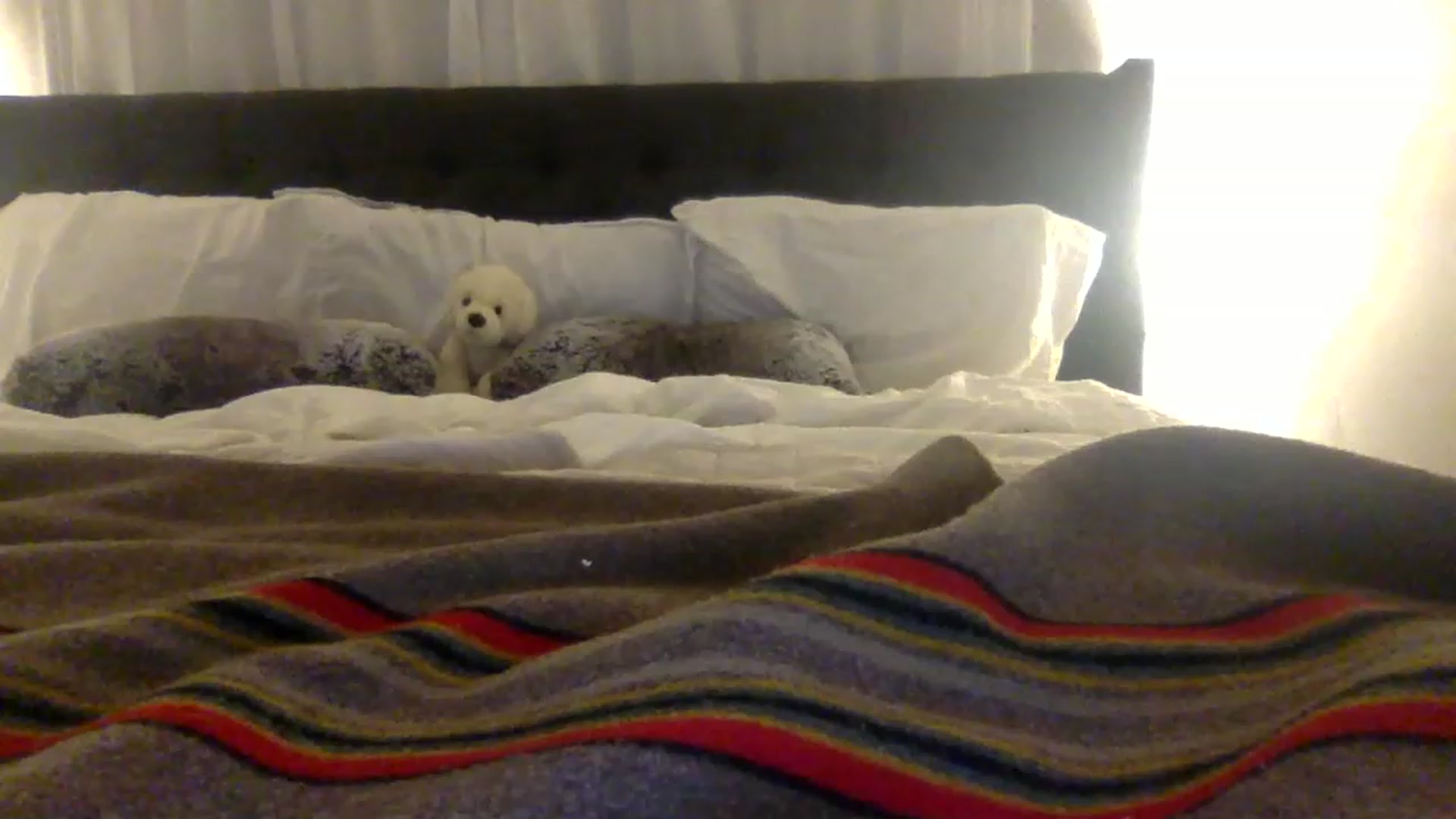 Gallery image thumbnail from BendyBlonde1's myfreecams stream on, 03/03/2023, 02:02 image 6 of 20