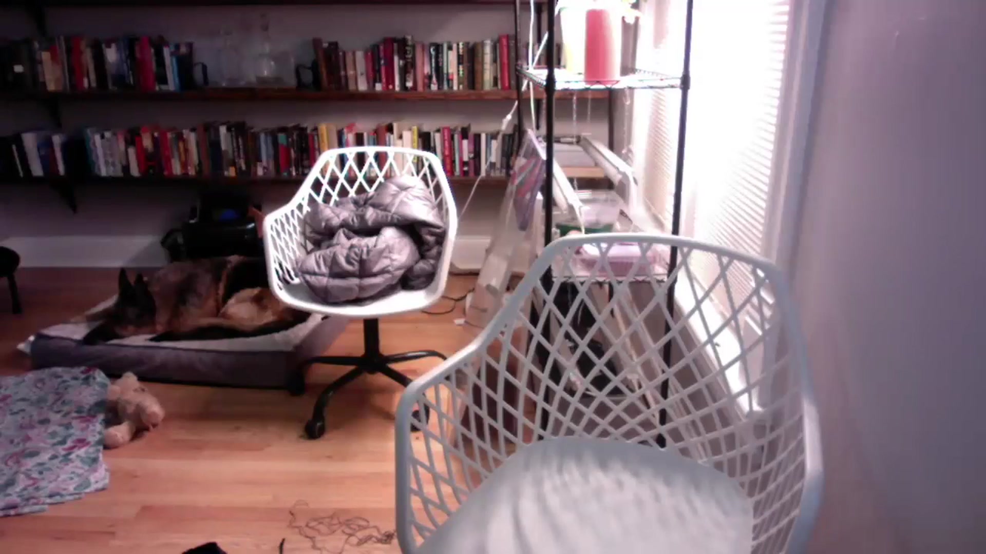 Gallery image thumbnail from BendyBlonde1's myfreecams stream on, 11/22/2023, 10:17 image 10 of 20