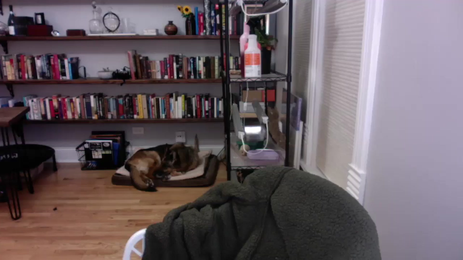 Gallery image thumbnail from BendyBlonde1's myfreecams stream on, 12/05/2023, 09:14 image 16 of 20