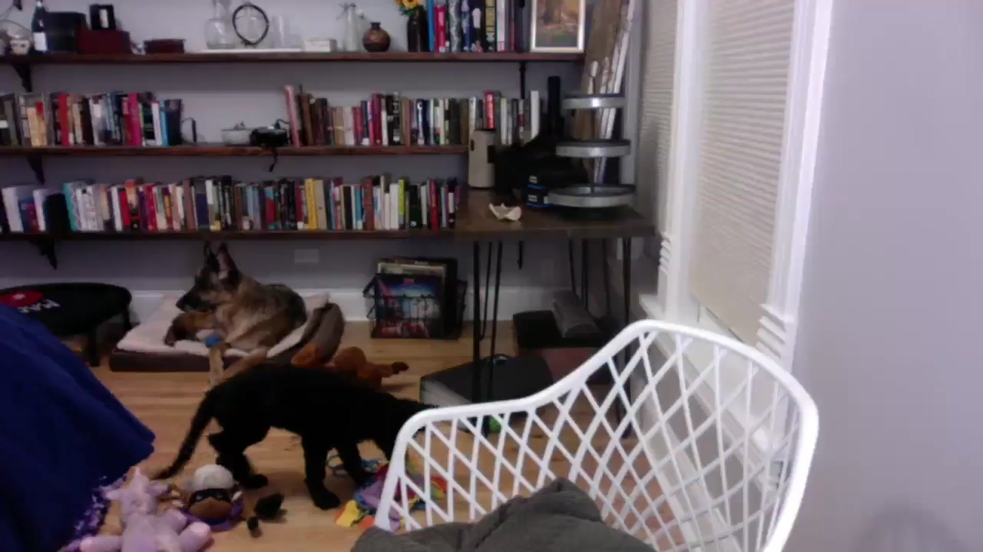 Gallery image thumbnail from BendyBlonde1's myfreecams stream on, 01/10/2024, 03:40 image 7 of 20