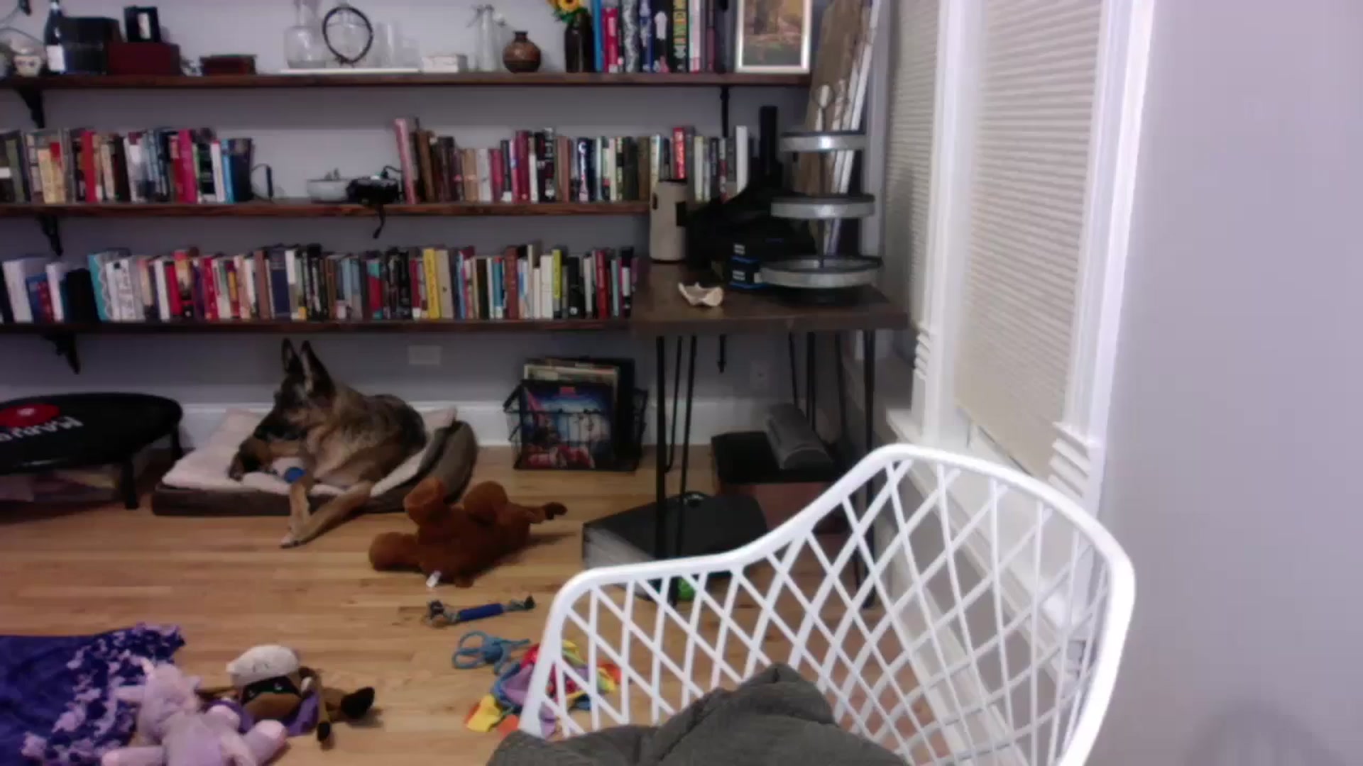 Gallery image thumbnail from BendyBlonde1's myfreecams stream on, 01/10/2024, 03:40 image 6 of 20
