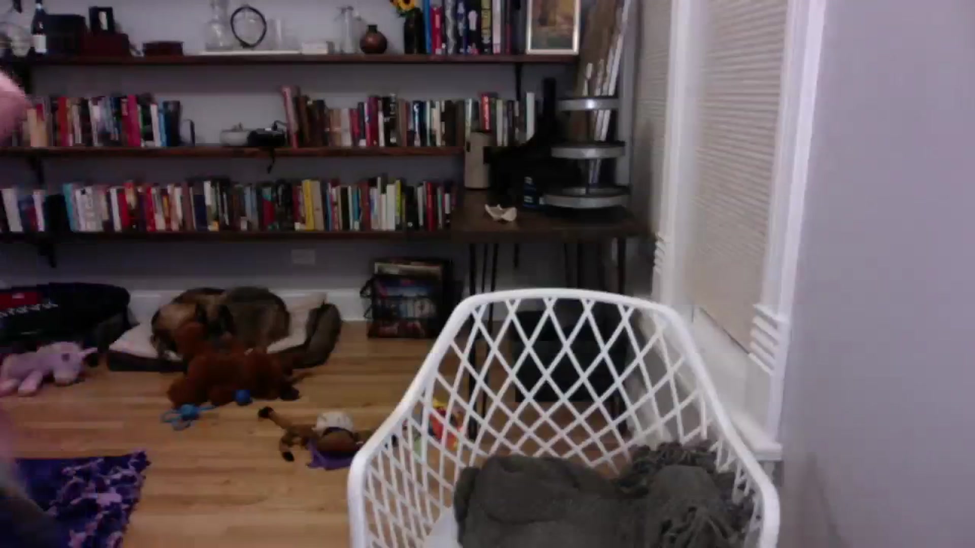 Gallery image thumbnail from BendyBlonde1's myfreecams stream on, 01/10/2024, 08:08 image 4 of 20