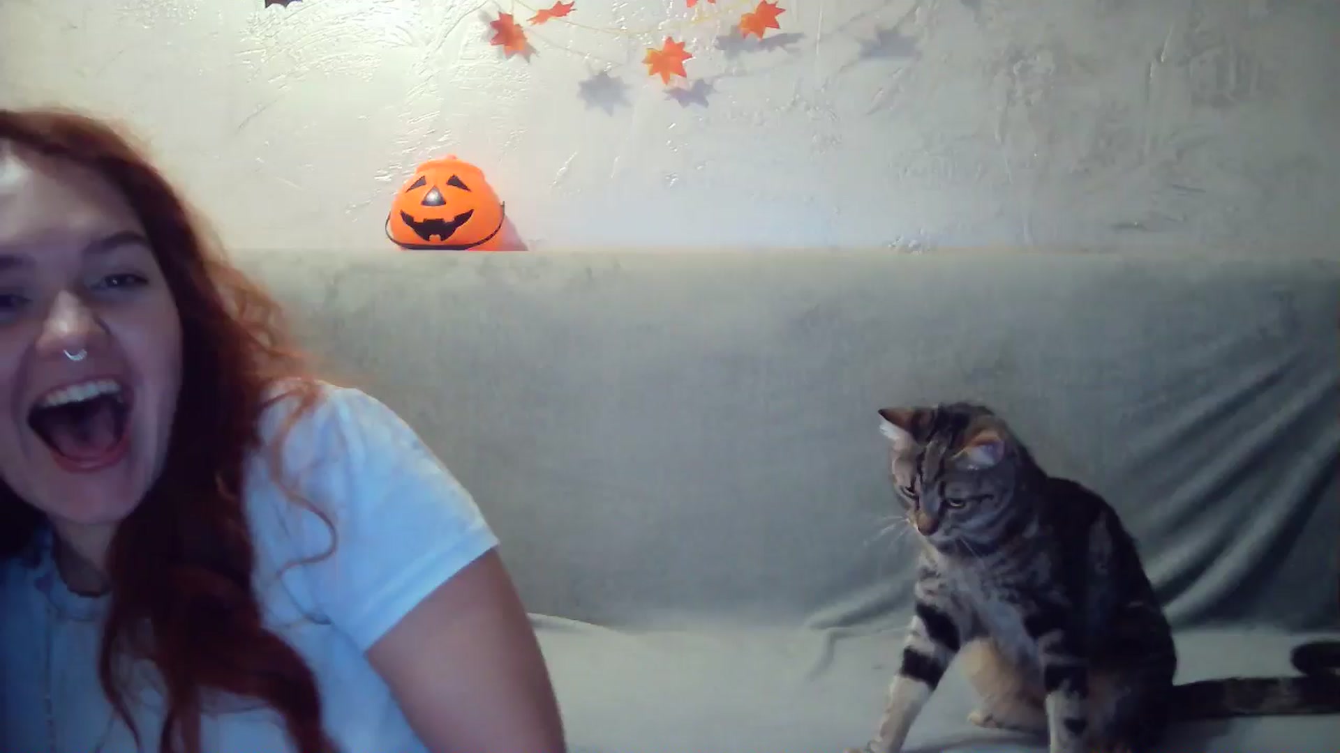 Gallery image thumbnail from BerryGoddess's myfreecams stream on, 10/13/2024, 18:08 image 1 of 20