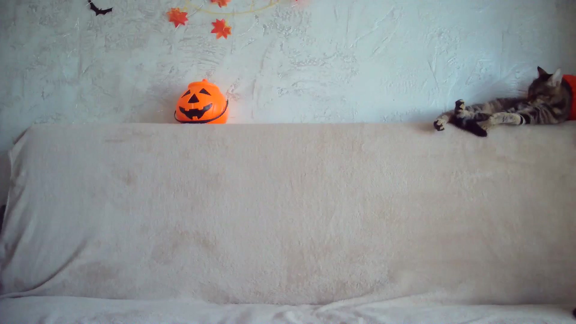 Gallery image thumbnail from BerryGoddess's myfreecams stream on, 10/31/2024, 09:41 image 7 of 20