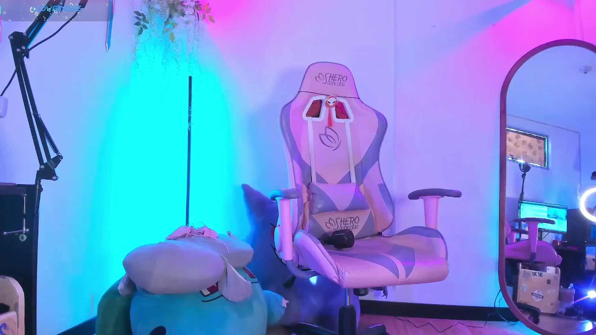 Gallery image thumbnail from Berrykww's myfreecams stream on, 08/27/2025, 15:00 image 3 of 20