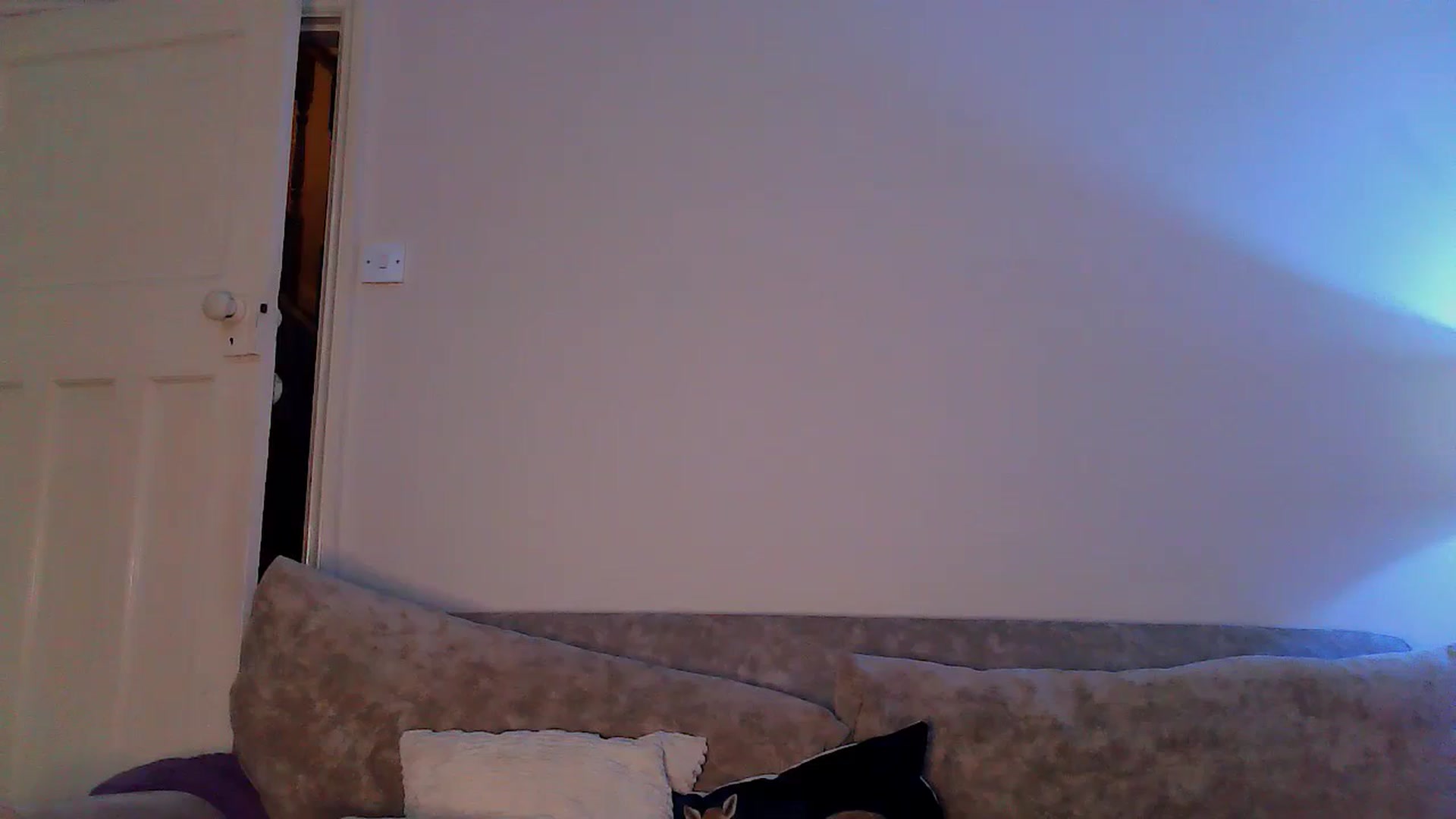 Gallery image thumbnail from BettyBoopDoll's myfreecams stream on, 03/04/2024, 06:33 image 12 of 20
