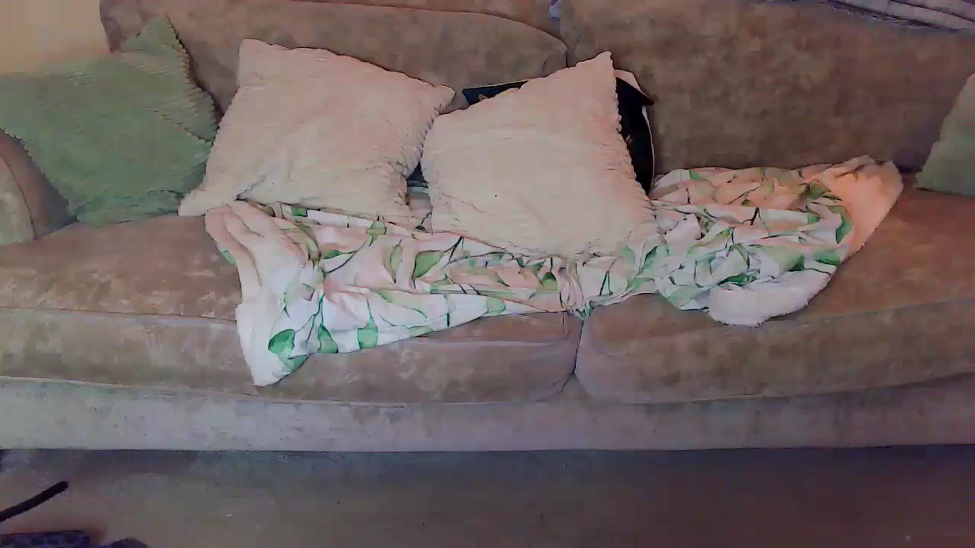 Gallery image thumbnail from BettyBoopDoll's myfreecams stream on, 03/13/2024, 05:27 image 15 of 20