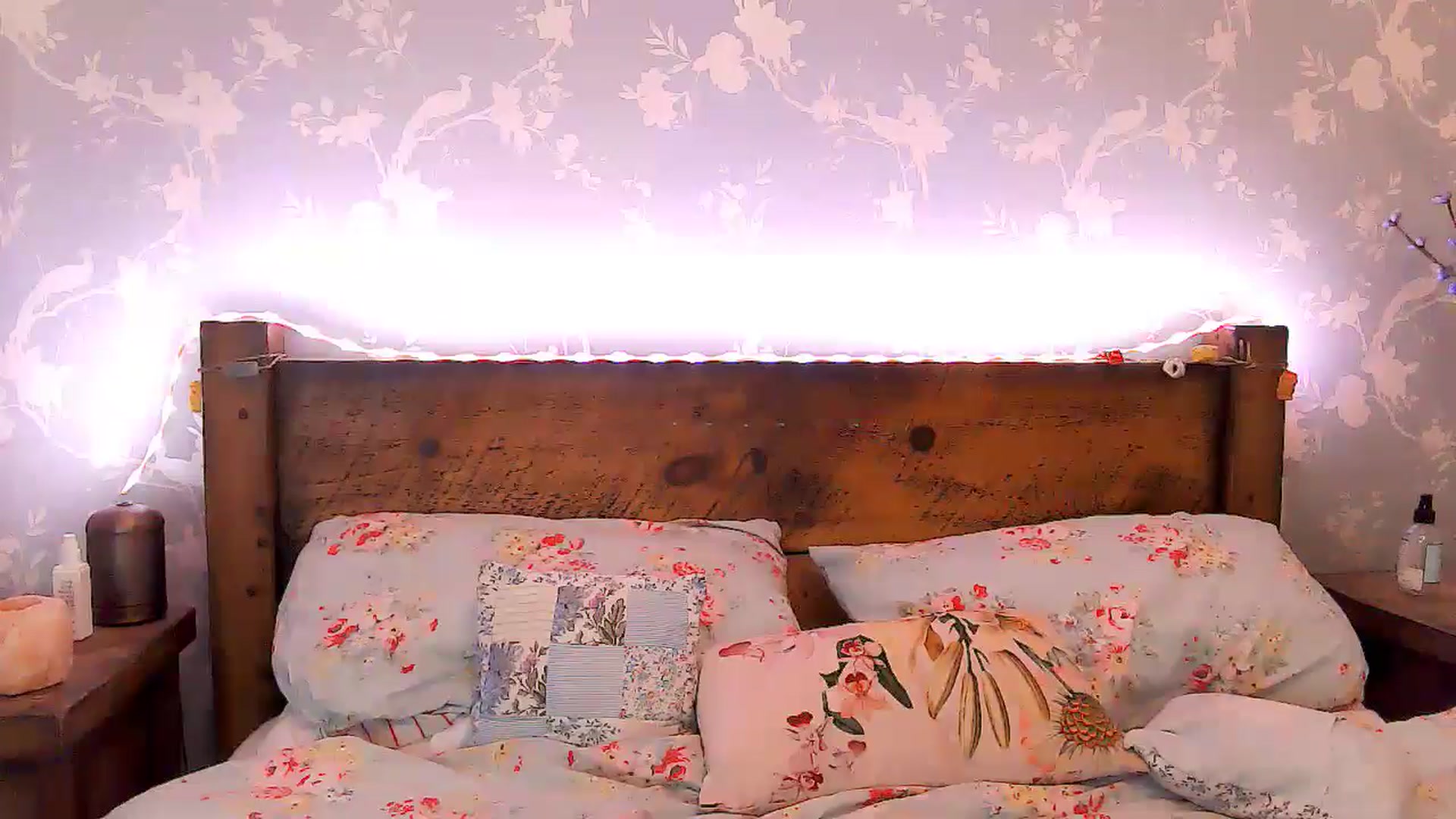 Gallery image thumbnail from BettyBoopDoll's myfreecams stream on, 06/12/2024, 06:59 image 2 of 20