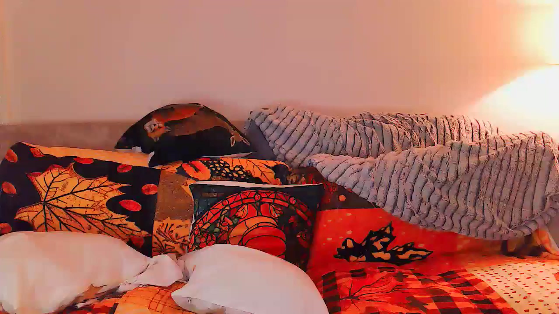 Gallery image thumbnail from BettyBoopDoll's myfreecams stream on, 09/23/2024, 07:05 image 14 of 20