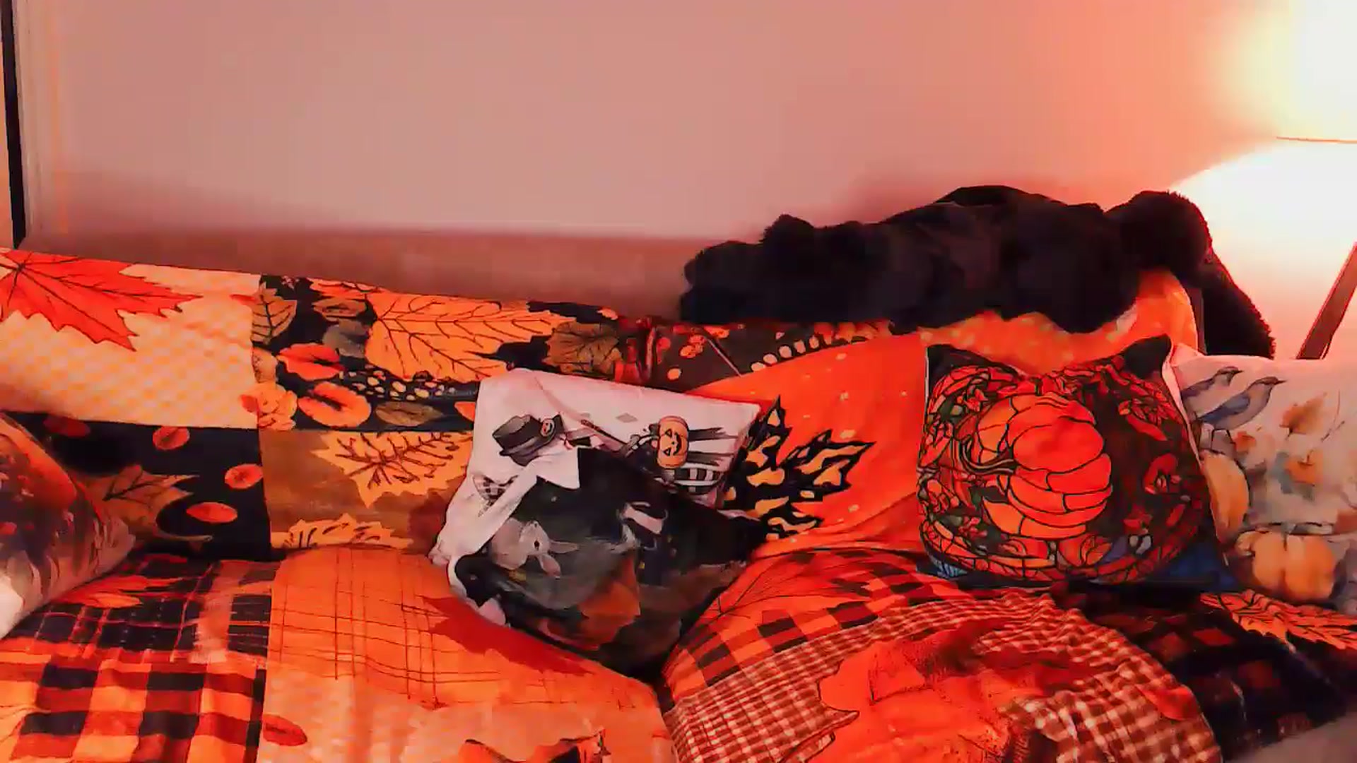 Gallery image thumbnail from BettyBoopDoll's myfreecams stream on, 10/20/2024, 04:21 image 8 of 20