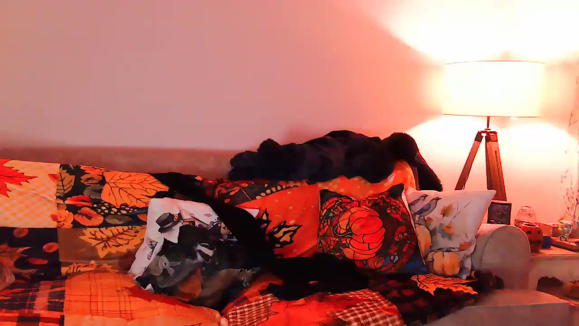Gallery image thumbnail from BettyBoopDoll's myfreecams stream on, 10/20/2024, 04:21 image 17 of 20