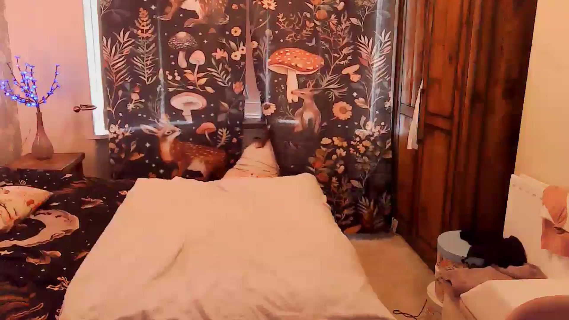 Gallery image thumbnail from BettyBoopDoll's myfreecams stream on, 01/26/2025, 10:31 image 9 of 20