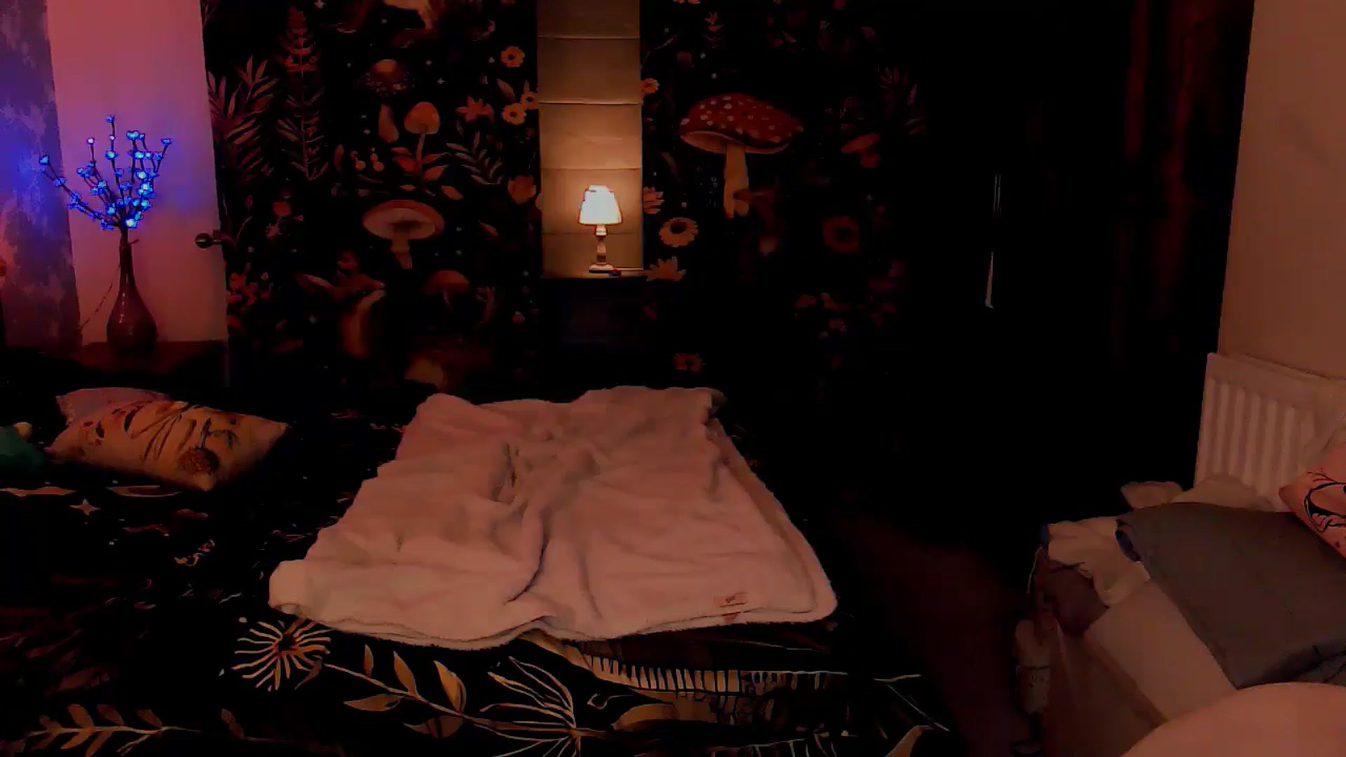 Gallery image thumbnail from BettyBoopDoll's myfreecams stream on, 04/03/2025, 06:26 image 11 of 20