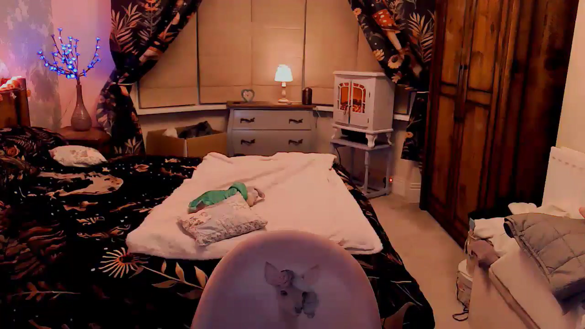 Gallery image thumbnail from BettyBoopDoll's myfreecams stream on, 04/03/2025, 06:26 image 2 of 20