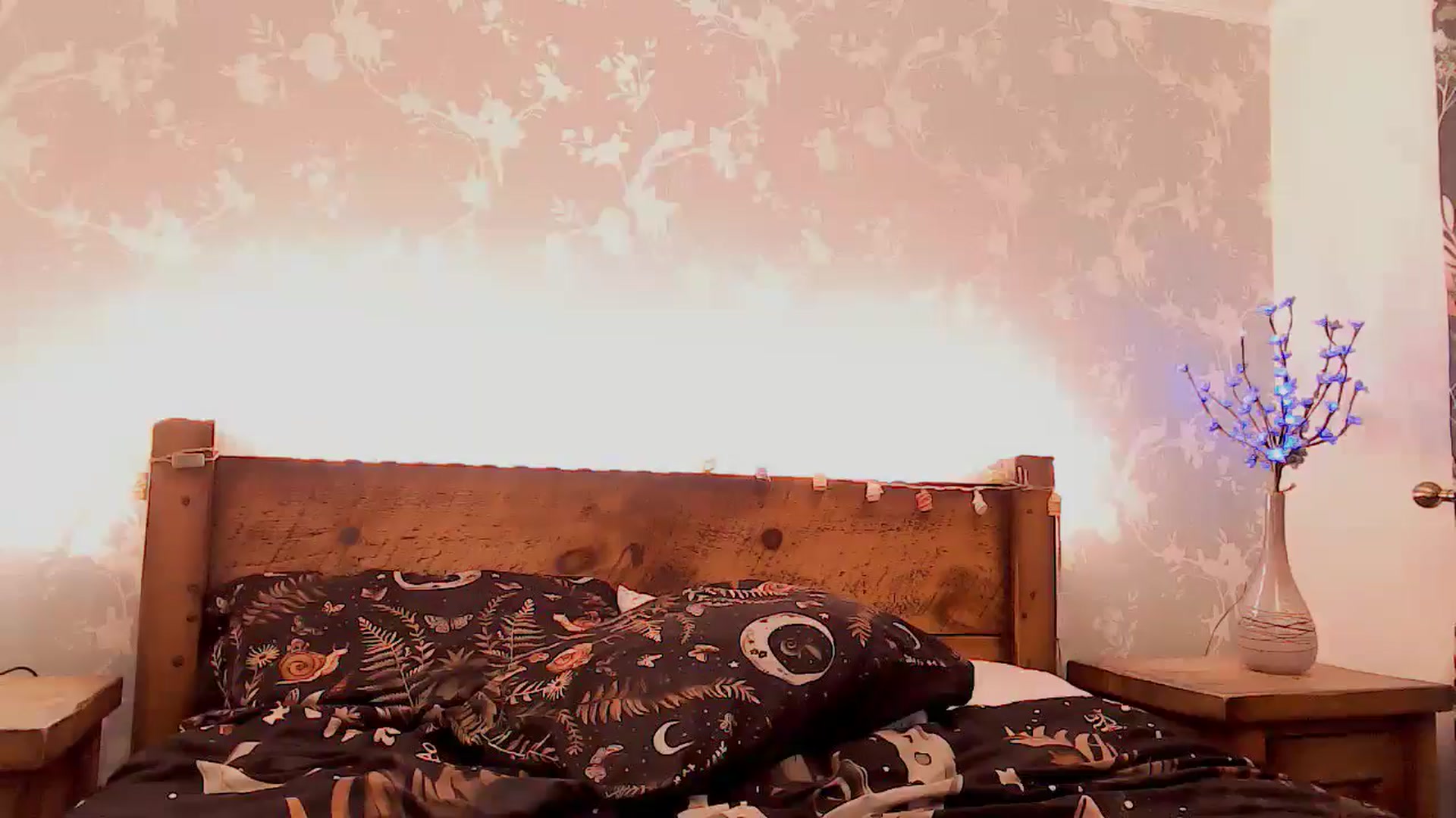 Gallery image thumbnail from BettyBoopDoll's myfreecams stream on, 04/03/2025, 07:59 image 6 of 20