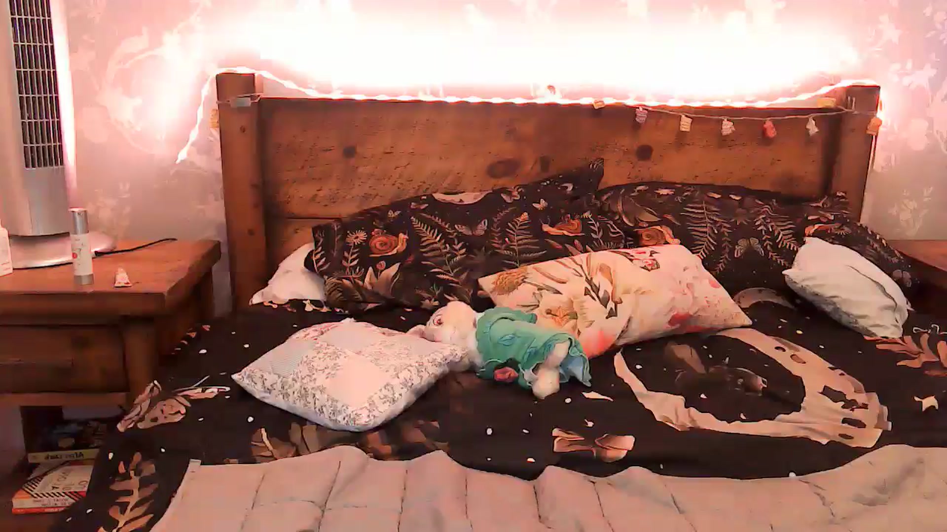 Gallery image thumbnail from BettyBoopDoll's myfreecams stream on, 05/26/2025, 06:52 image 17 of 20