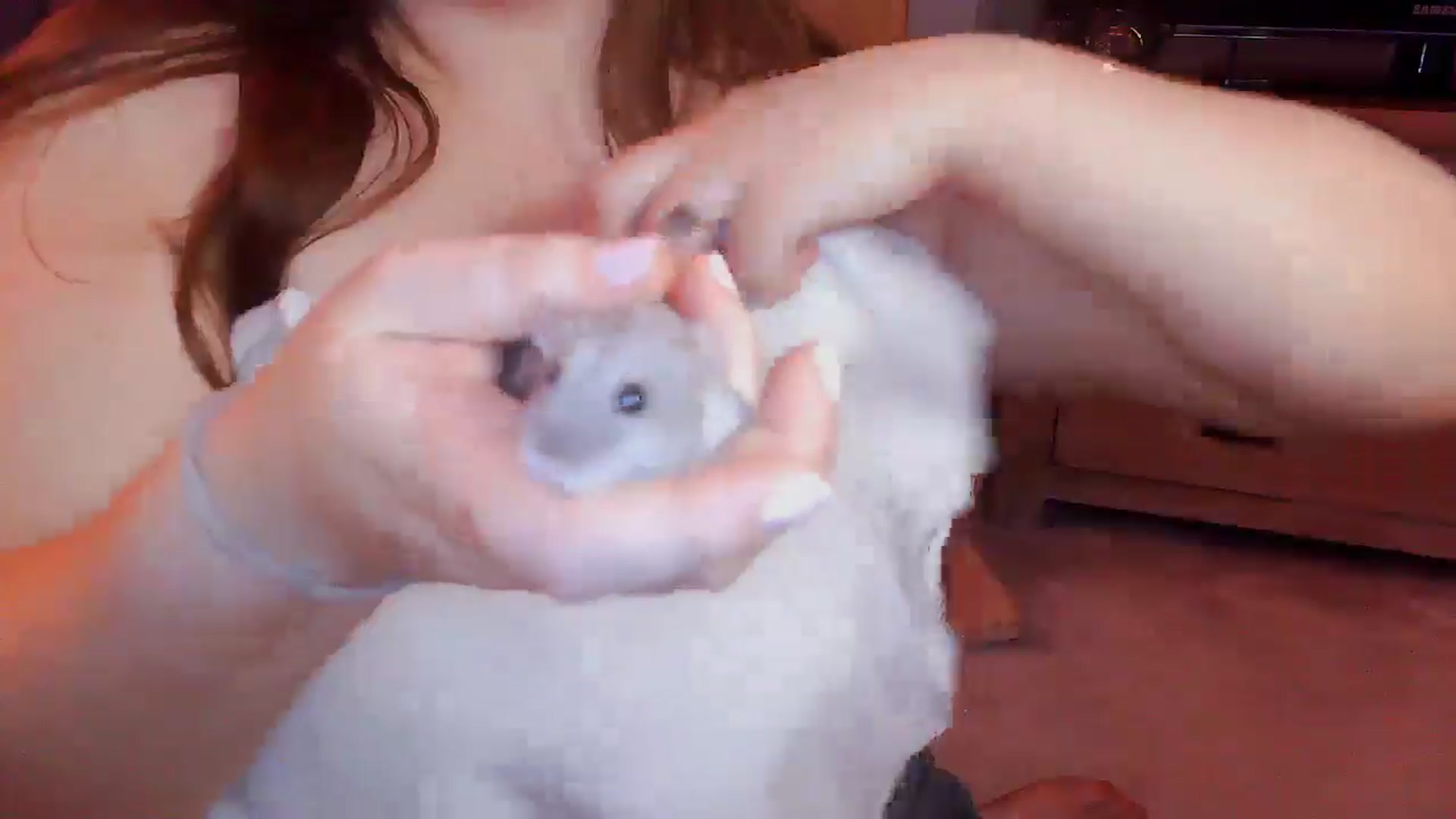 Gallery image thumbnail from BettyBoopDoll's myfreecams stream on, 07/16/2025, 06:35 image 17 of 20