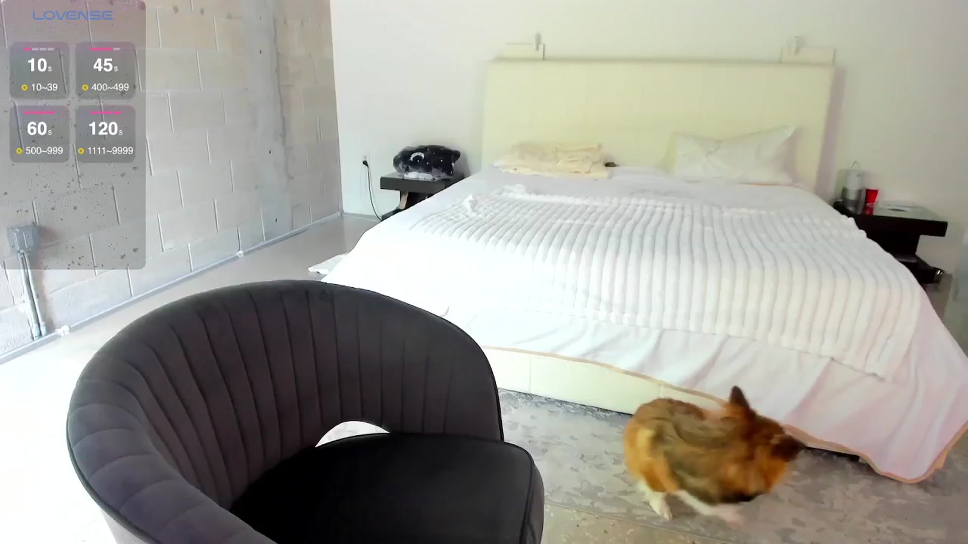 Gallery image thumbnail from Bewitching's myfreecams stream on, 05/05/2024, 18:16 image 1 of 20