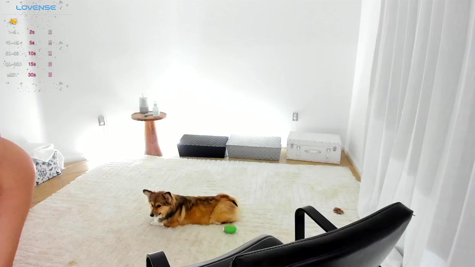 Gallery image thumbnail from Bewitching's myfreecams stream on, 11/12/2024, 24:06 image 15 of 20