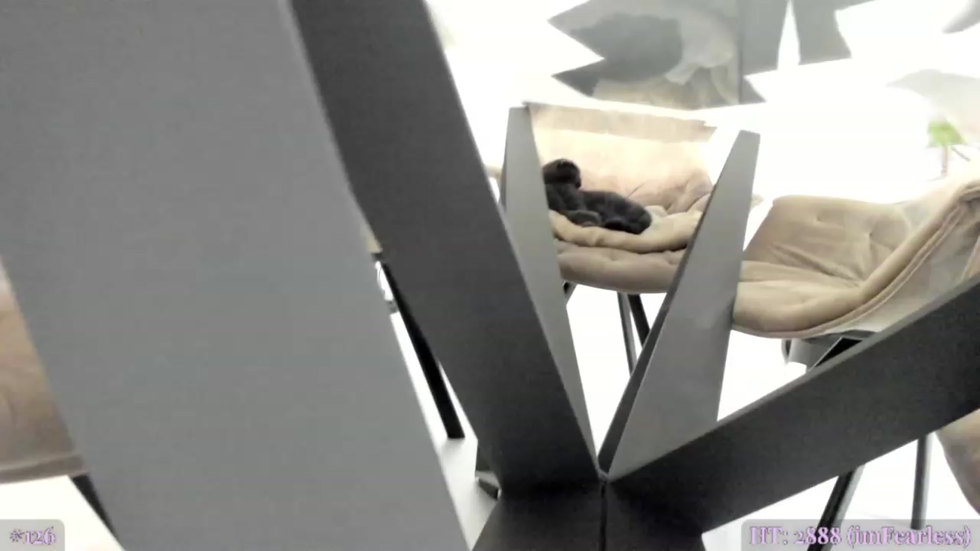 Gallery image thumbnail from BiBiSan's myfreecams stream on, 09/21/2023, 02:49 image 6 of 20