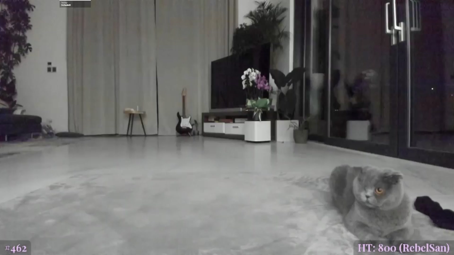 Gallery image thumbnail from BiBiSan's myfreecams stream on, 03/26/2024, 01:46 image 7 of 20