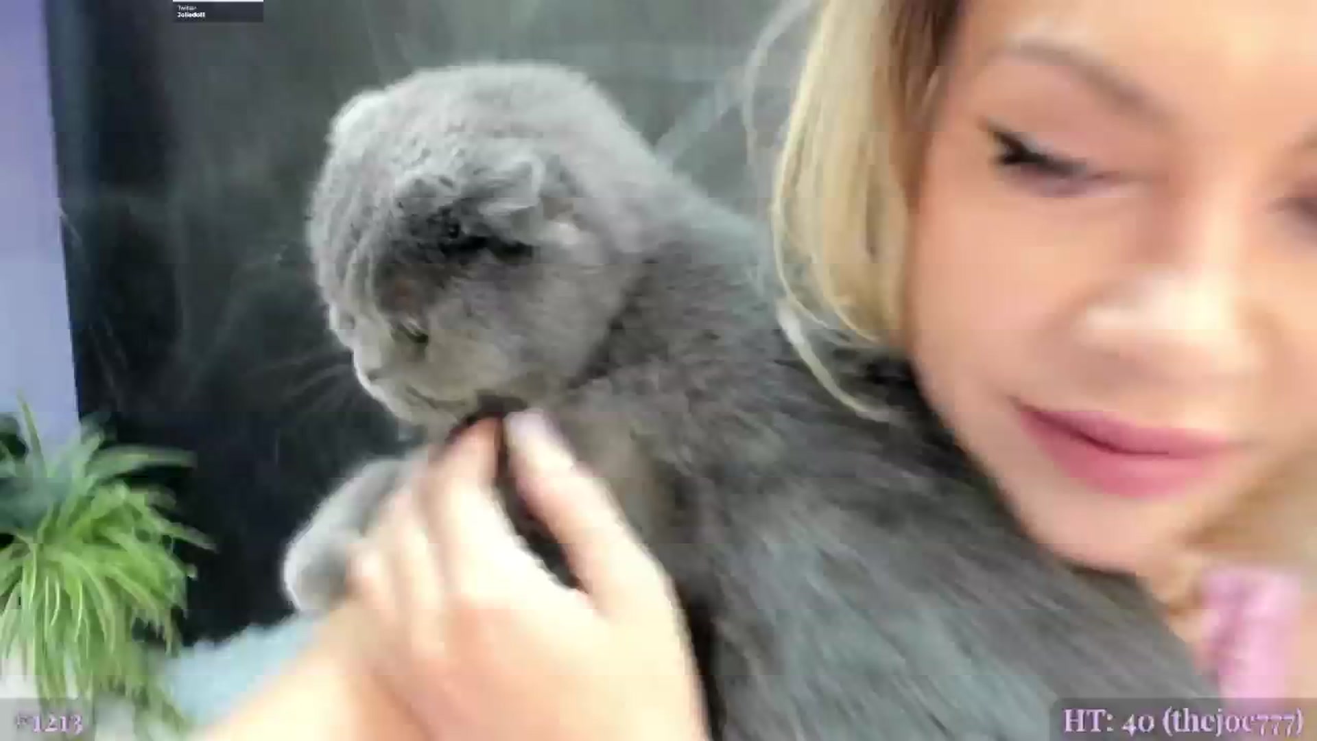 Gallery image thumbnail from BiBiSan's myfreecams stream on, 09/29/2024, 23:25 image 6 of 20