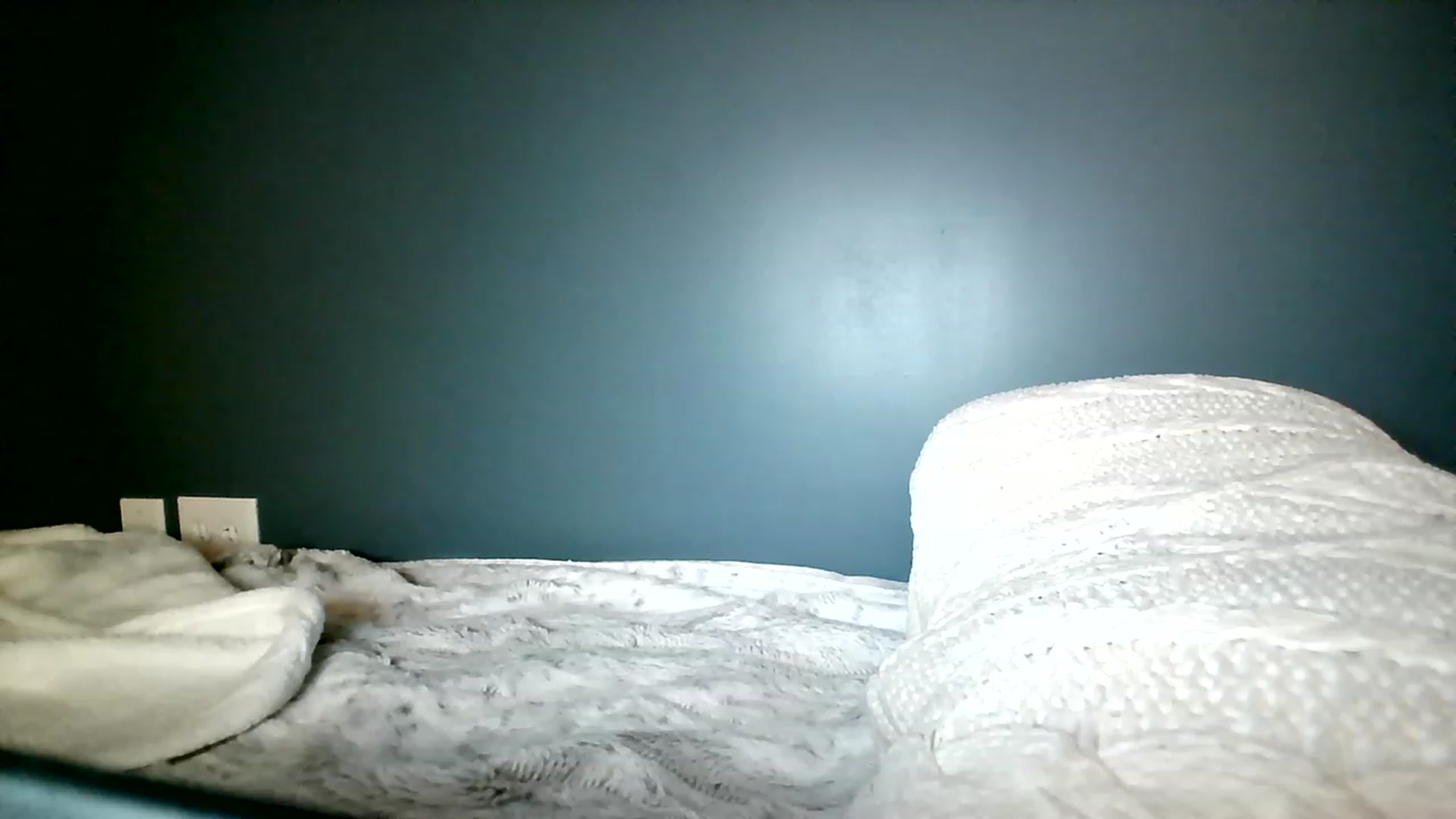 Gallery image thumbnail from BiancaXblack's myfreecams stream on, 11/23/2022, 04:31 image 5 of 20
