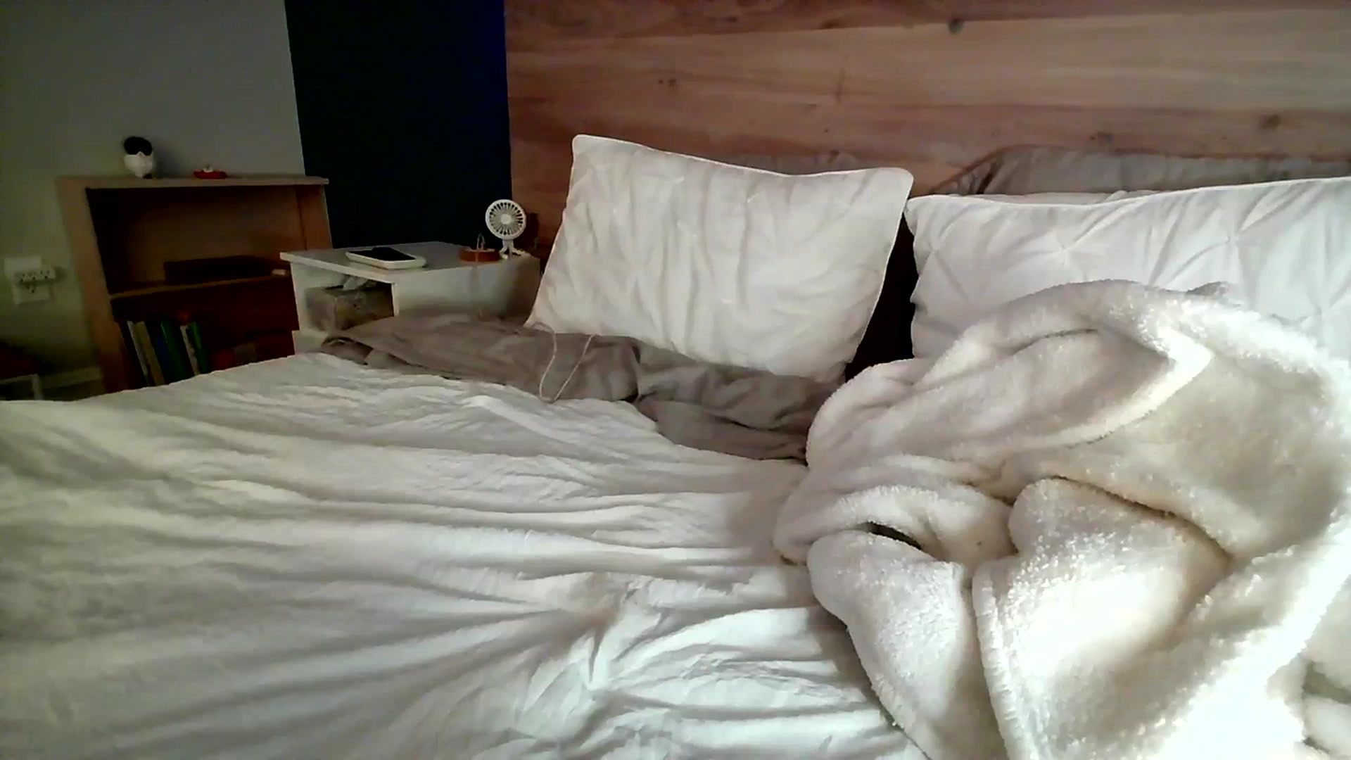 Gallery image thumbnail from BiancaXblack's myfreecams stream on, 07/14/2023, 01:38 image 18 of 20