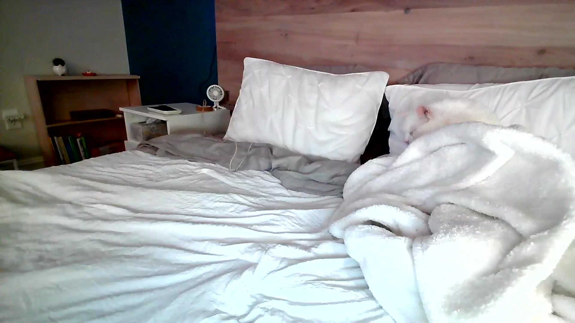 Gallery image thumbnail from BiancaXblack's myfreecams stream on, 07/14/2023, 01:38 image 7 of 20