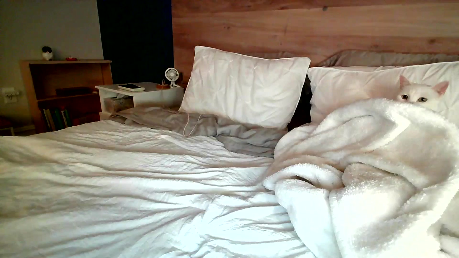 Gallery image thumbnail from BiancaXblack's myfreecams stream on, 07/14/2023, 01:38 image 6 of 20
