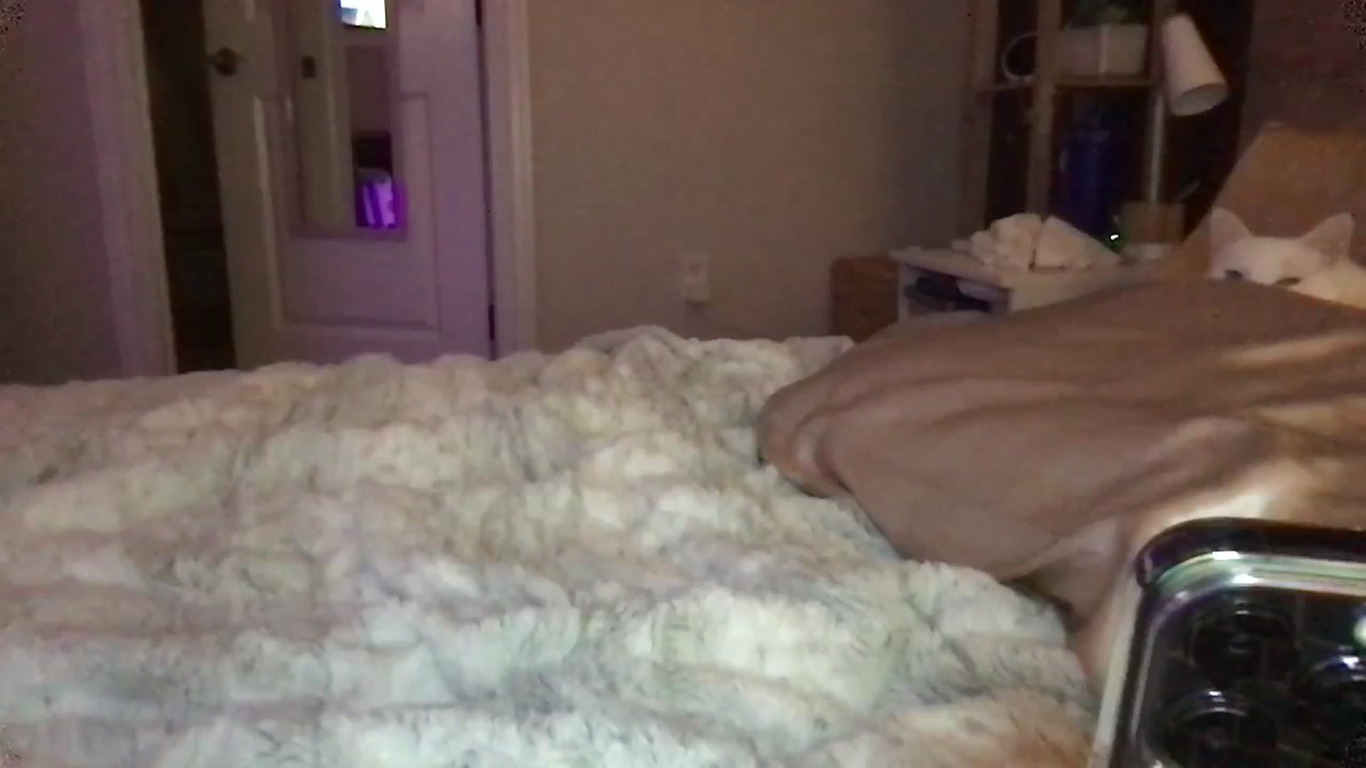 Gallery image thumbnail from BiancaXblack's myfreecams stream on, 01/02/2024, 04:12 image 10 of 20